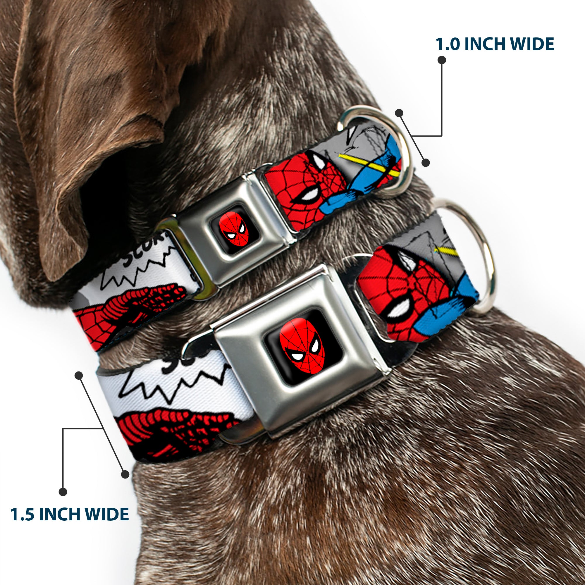 MARVEL UNIVERSE Spider-Man Full Color Seatbelt Buckle Collar - Spider-Man w/Action Verbiage Seatbelt Buckle Collars Marvel Comics
