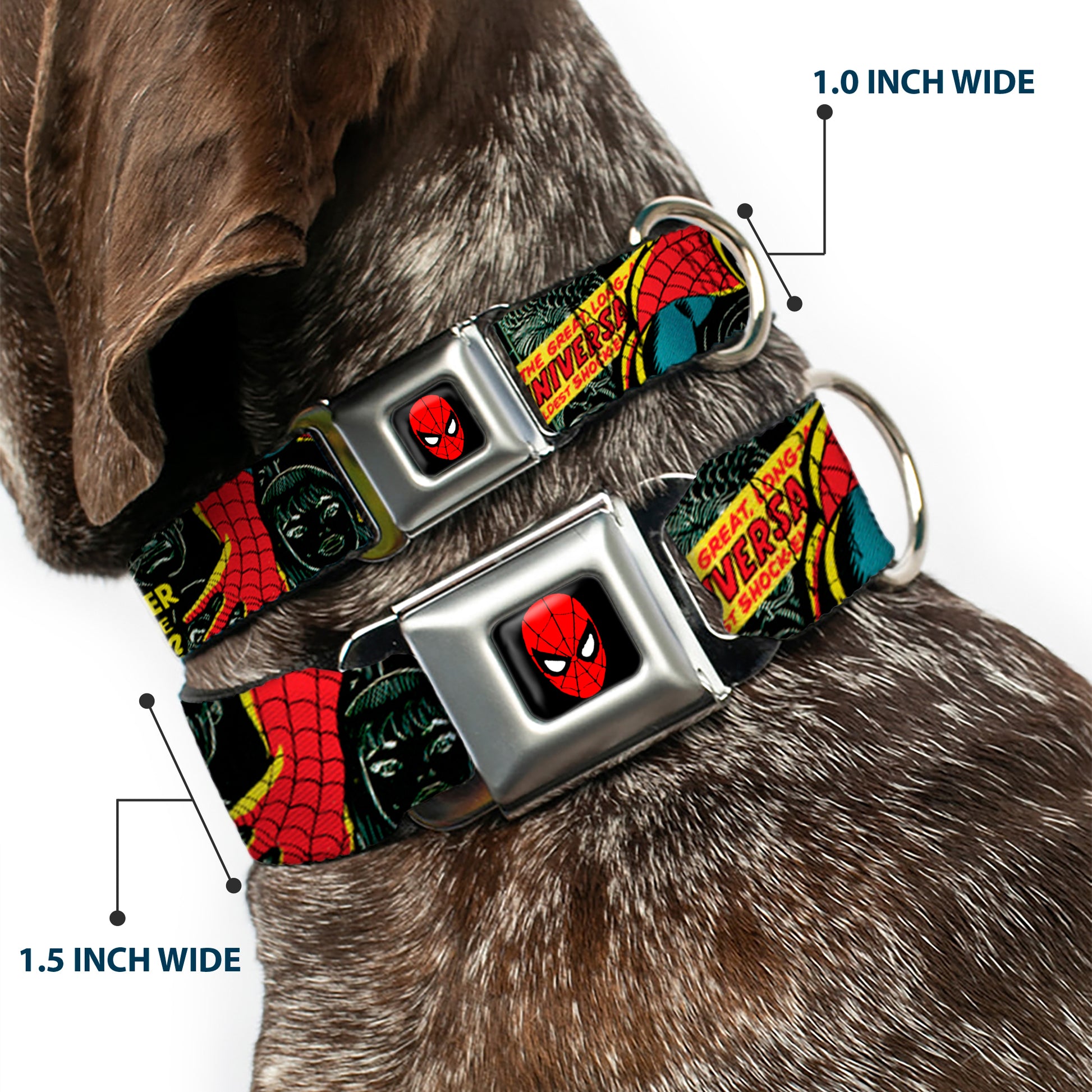 MARVEL UNIVERSE Spider-Man Full Color Seatbelt Buckle Collar - THE AMAZING SPIDER-MAN 100th ANNIVERSARY Cover Seatbelt Buckle Collars Marvel Comics