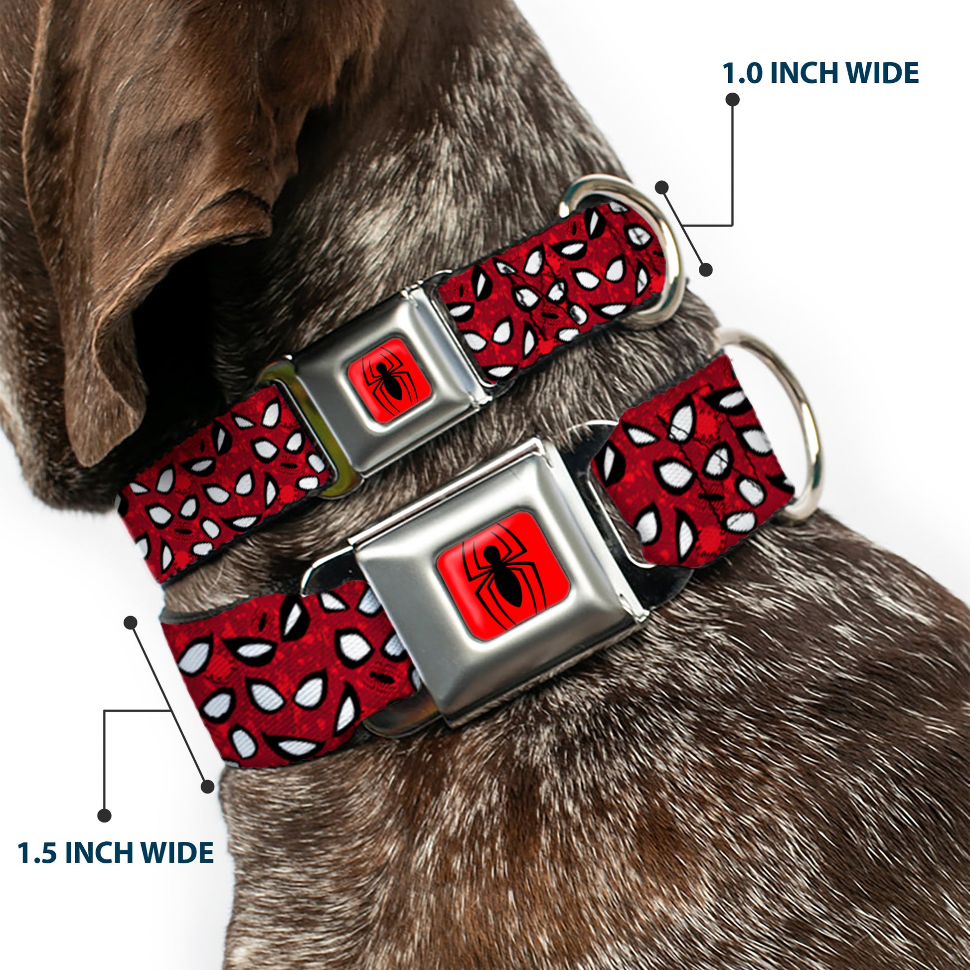 Spider Logo5 Red/Black Seatbelt Buckle Collar - Spider-Man Eyes/Spiders Scattered Reds/Black/White Seatbelt Buckle Collars Marvel Comics