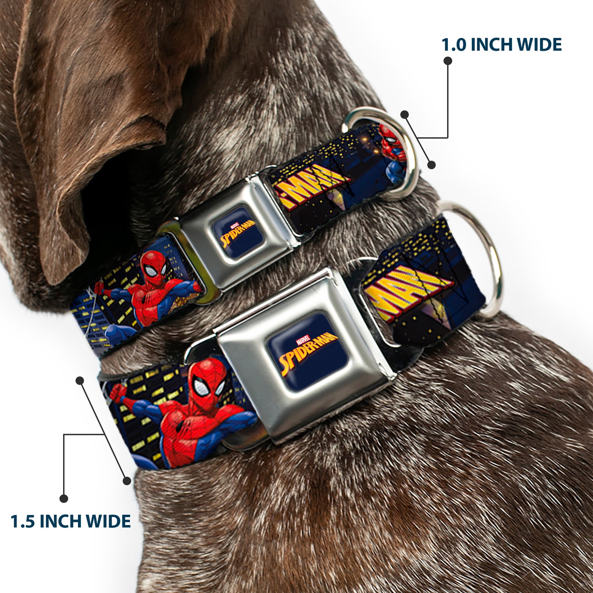MARVEL SPIDER-MAN Title Logo Full Color Dark Blue Seatbelt Buckle Collar - SPIDER-MAN Title Logo and Action Skyline Poses Seatbelt Buckle Collars Marvel Comics