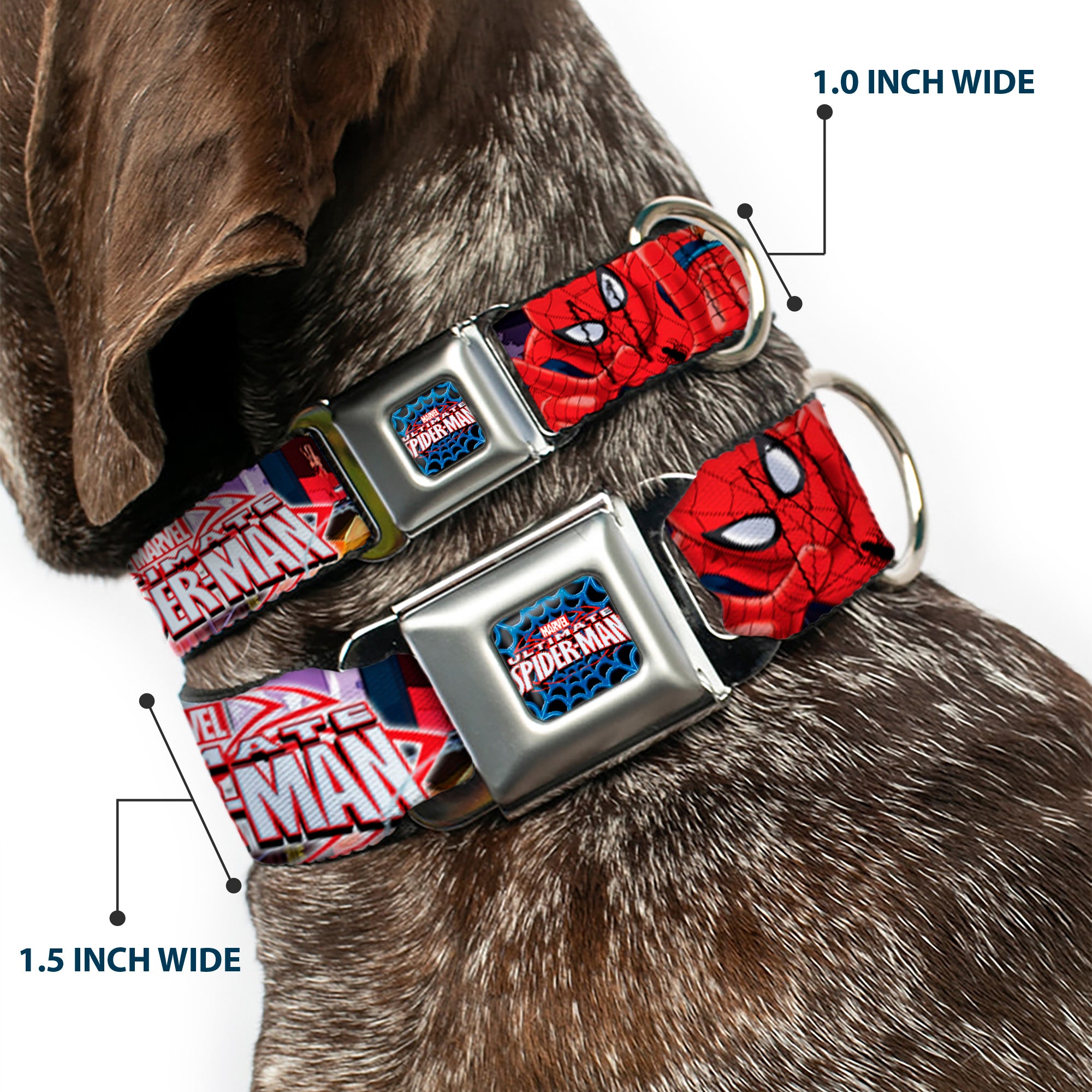 ULTIMATE SPIDER-MAN Ultimate Spider-Man Web Full Color Seatbelt Buckle Collar - THE ULTIMATE SPIDER-MAN Swinging City Poses Seatbelt Buckle Collars Marvel Comics