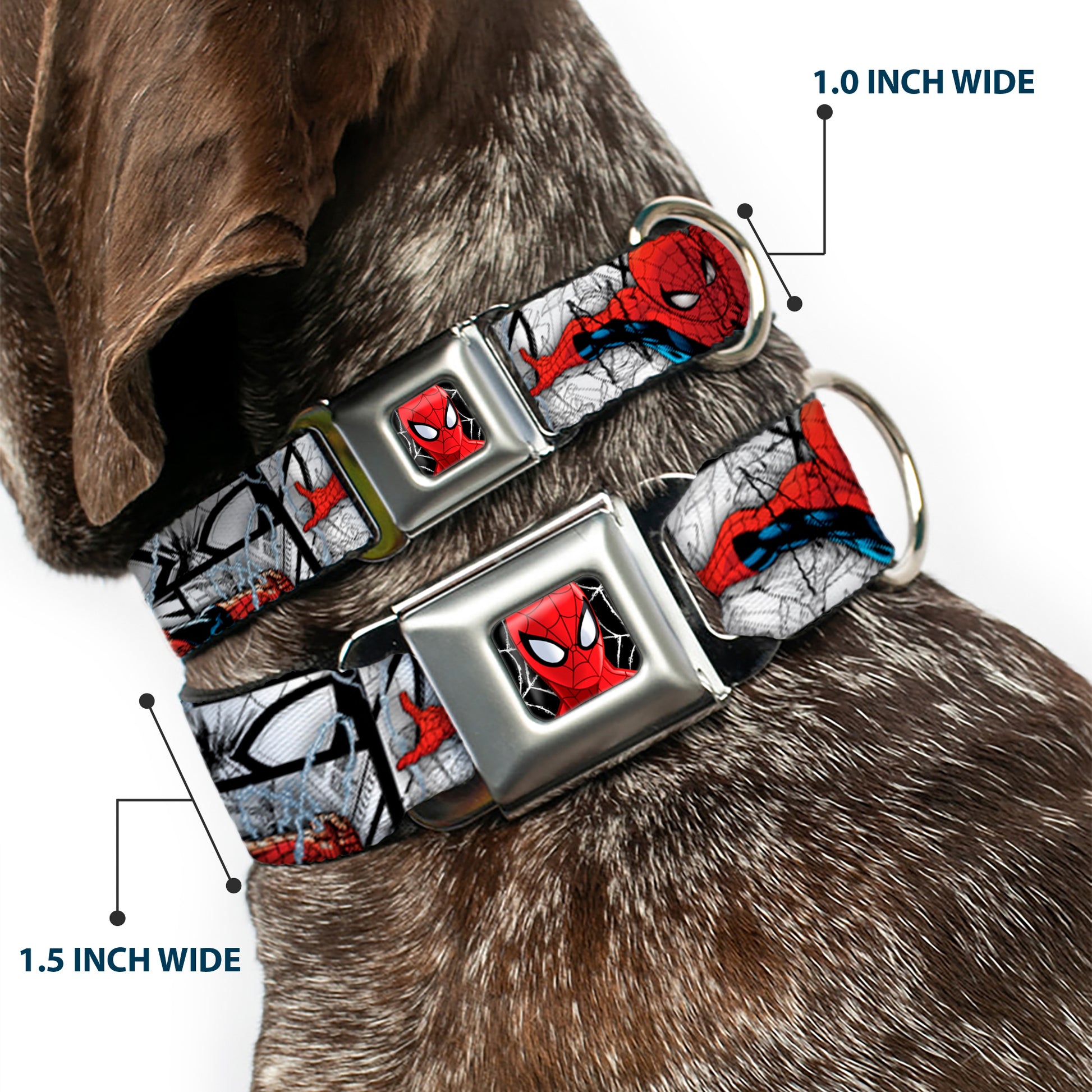ULTIMATE SPIDER-MAN Ultimate Spider-Man Face Web Full Color Seatbelt Buckle Collar - SPIDER-MAN Action Poses/Comic Scenes White/Black/Red Seatbelt Buckle Collars Marvel Comics