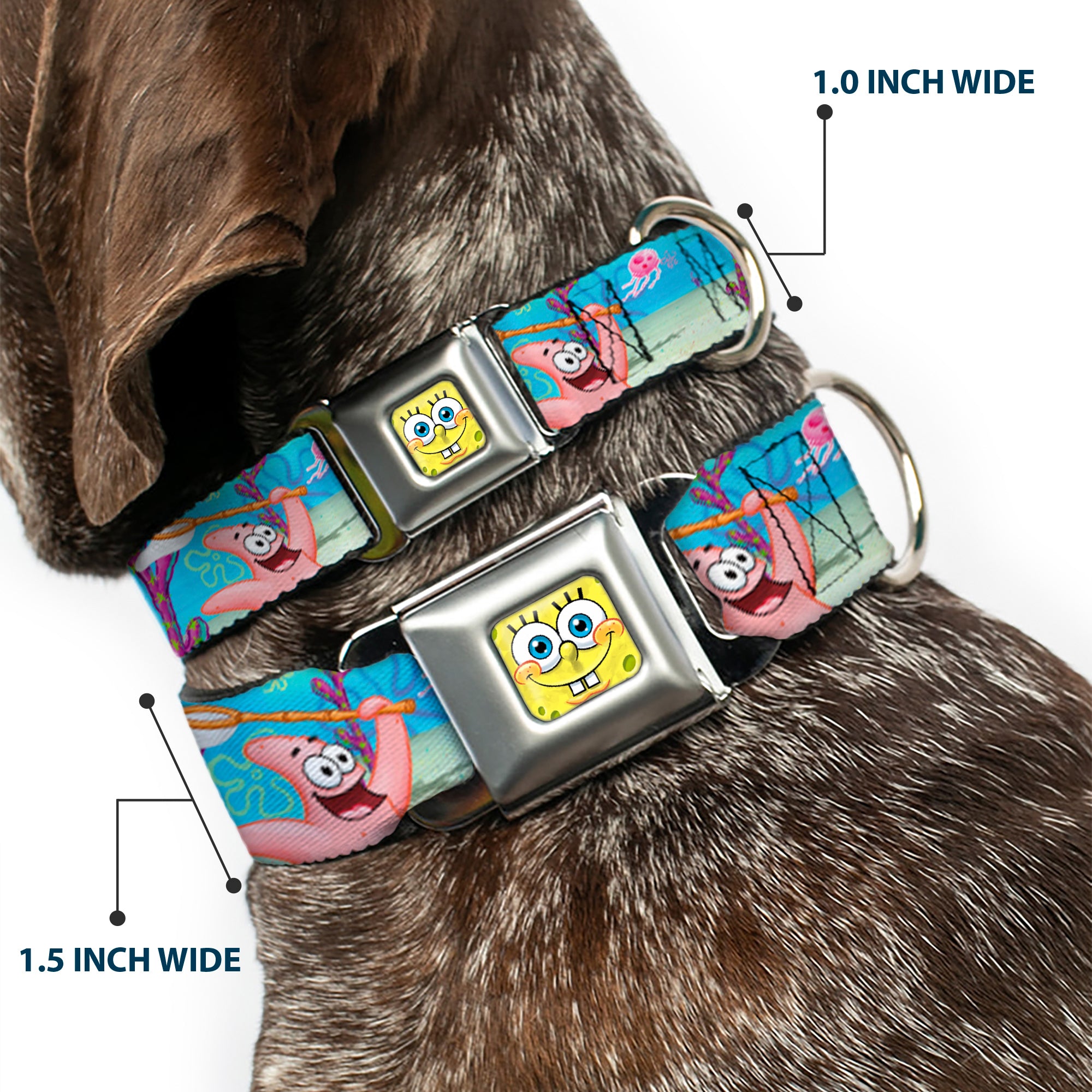 Sponge Bob 3-D Face CLOSE-UP Full Color Seatbelt Buckle Collar - SpongeBob & Patrick Starfish Jellyfishing Scenes Seatbelt Buckle Collars SpongeBob SquarePants
