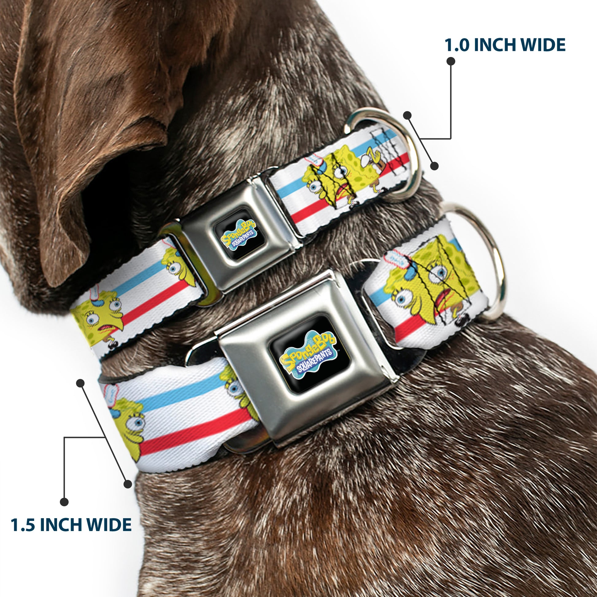 SpongeBob SquarePants Logo2 Full Color Black Seatbelt Buckle Collar - Mocking SpongeBob Pose Stripe White/Blue/Red Seatbelt Buckle Collars SpongeBob SquarePants