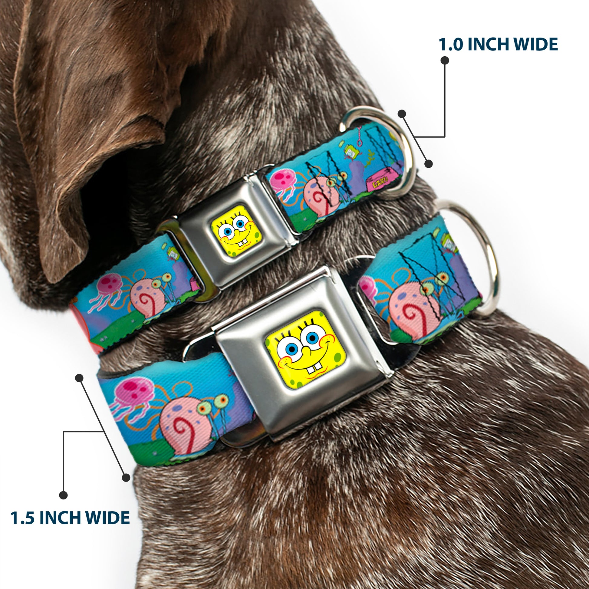 Sponge Bob Face CLOSE-UP Full Color Seatbelt Buckle Collar - SpongeBob and Friends/Logo Seatbelt Buckle Collars SpongeBob SquarePants