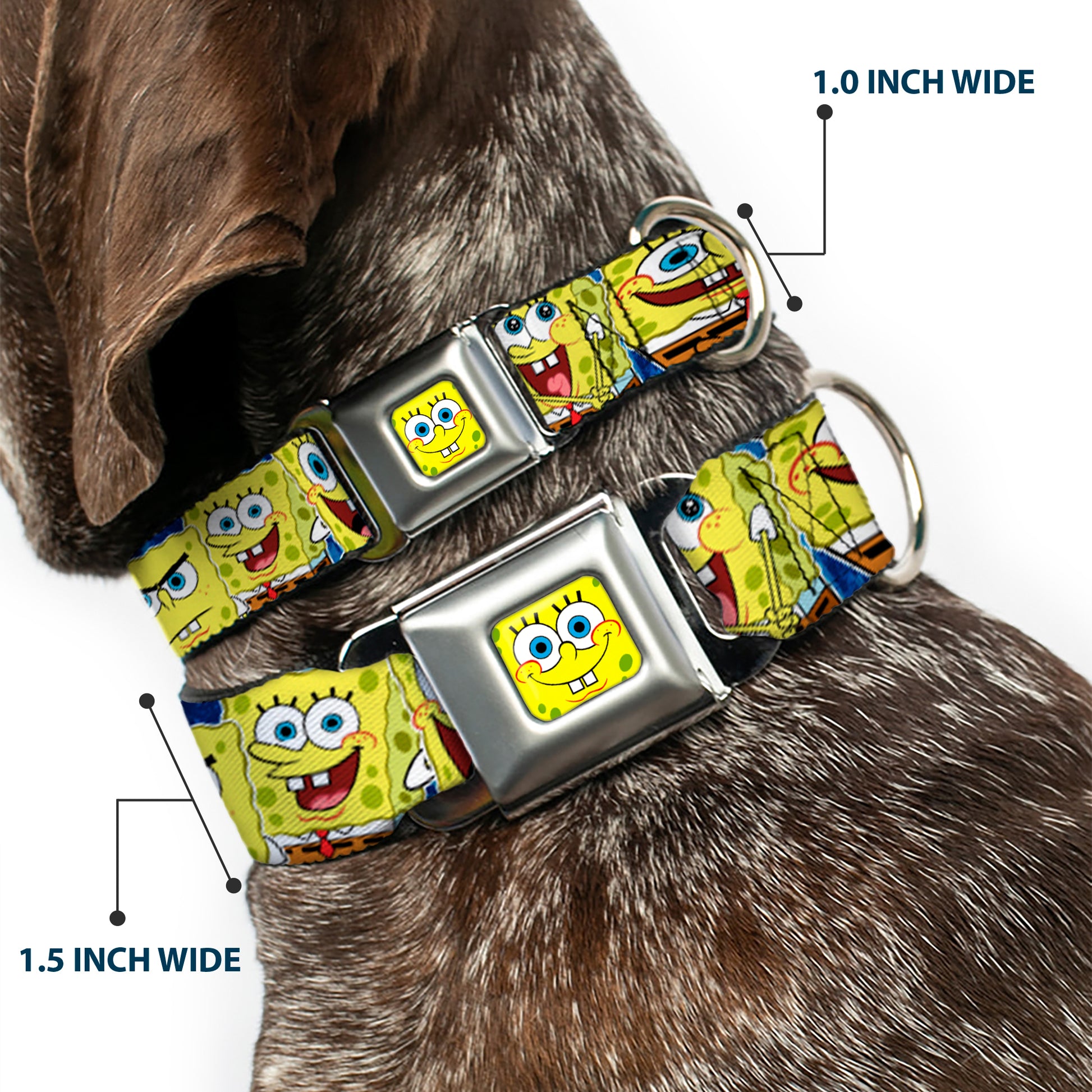 Sponge Bob Face CLOSE-UP Full Color Seatbelt Buckle Collar - SpongeBob Expressions Stripe Blue Seatbelt Buckle Collars SpongeBob SquarePants