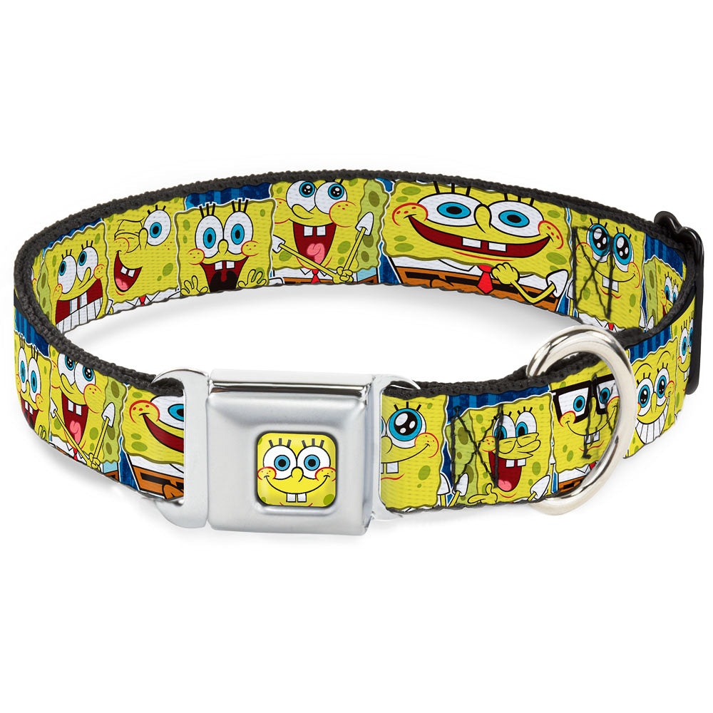 Sponge Bob Face CLOSE-UP Full Color Seatbelt Buckle Collar - SpongeBob Expressions Stripe Blue Seatbelt Buckle Collars SpongeBob SquarePants