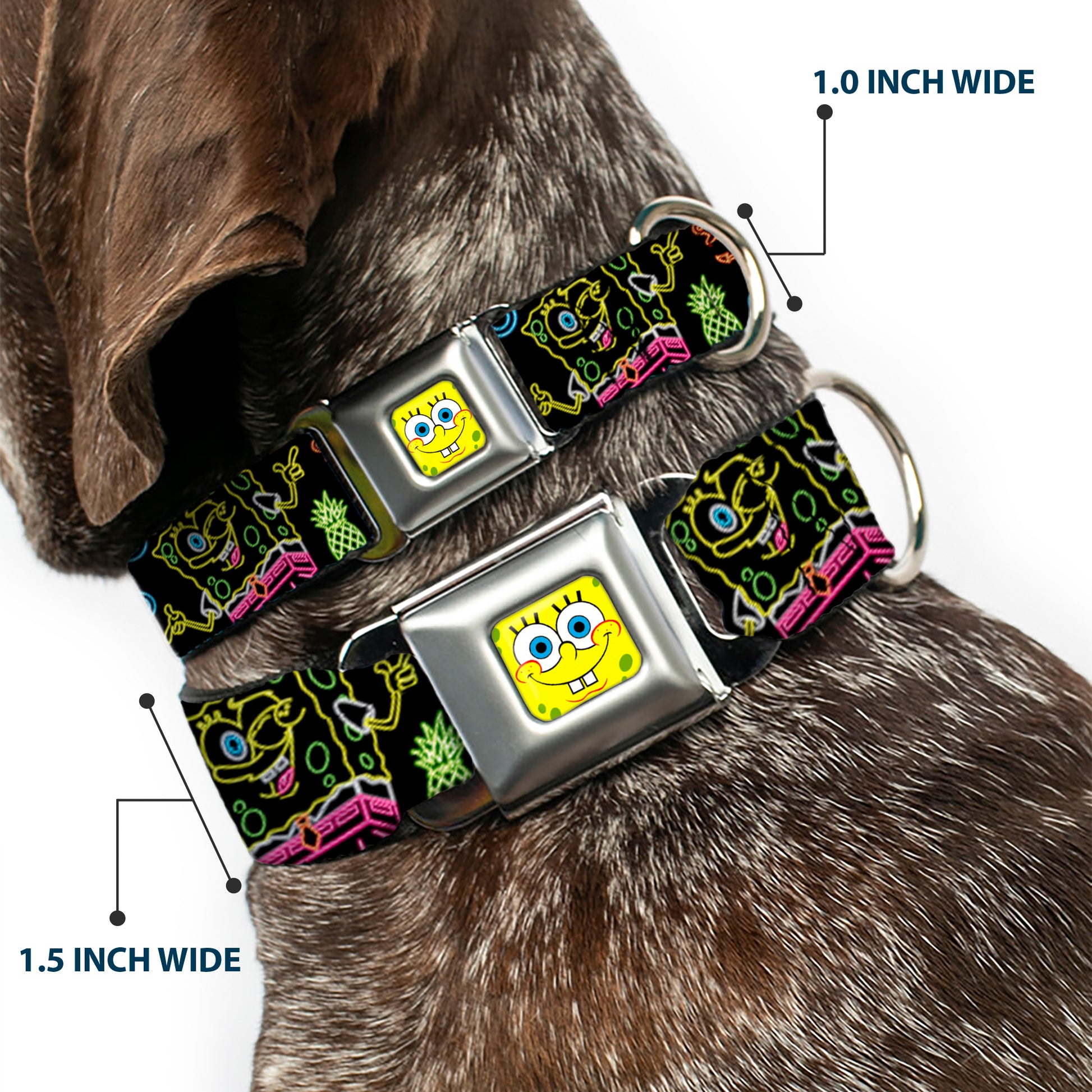 SpongeBob Face CLOSE-UP Full Color Seatbelt Buckle Collar - Electric SpongeBob Poses/Elements Black/Multi Color Seatbelt Buckle Collars SpongeBob SquarePants