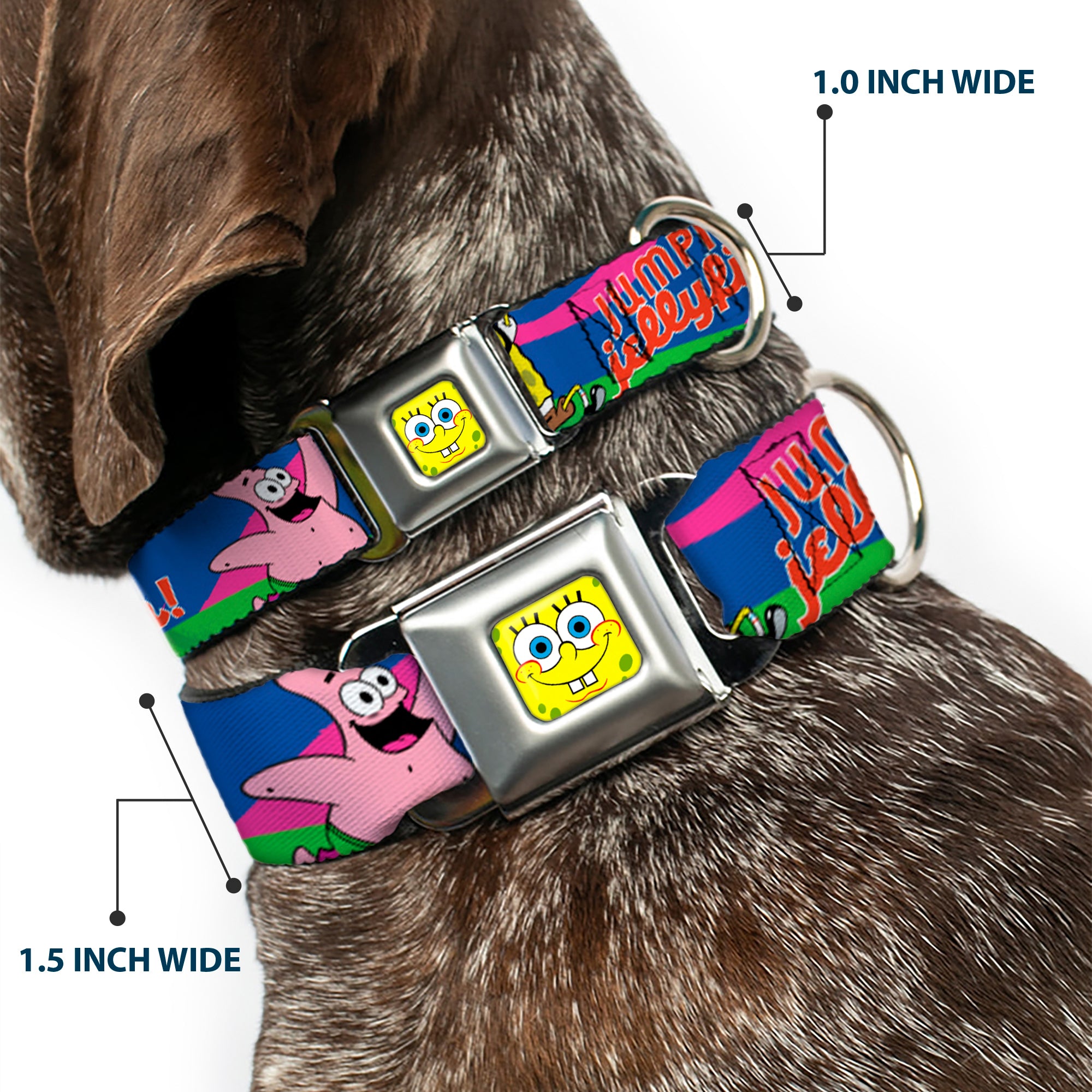 SpongeBob Face CLOSE-UP Full Color Seatbelt Buckle Collar - Nerd SpongeBob & Patrick Starfish Running JUMPIN' JELLYFISH! Multi Color/Red Seatbelt Buckle Collars SpongeBob SquarePants