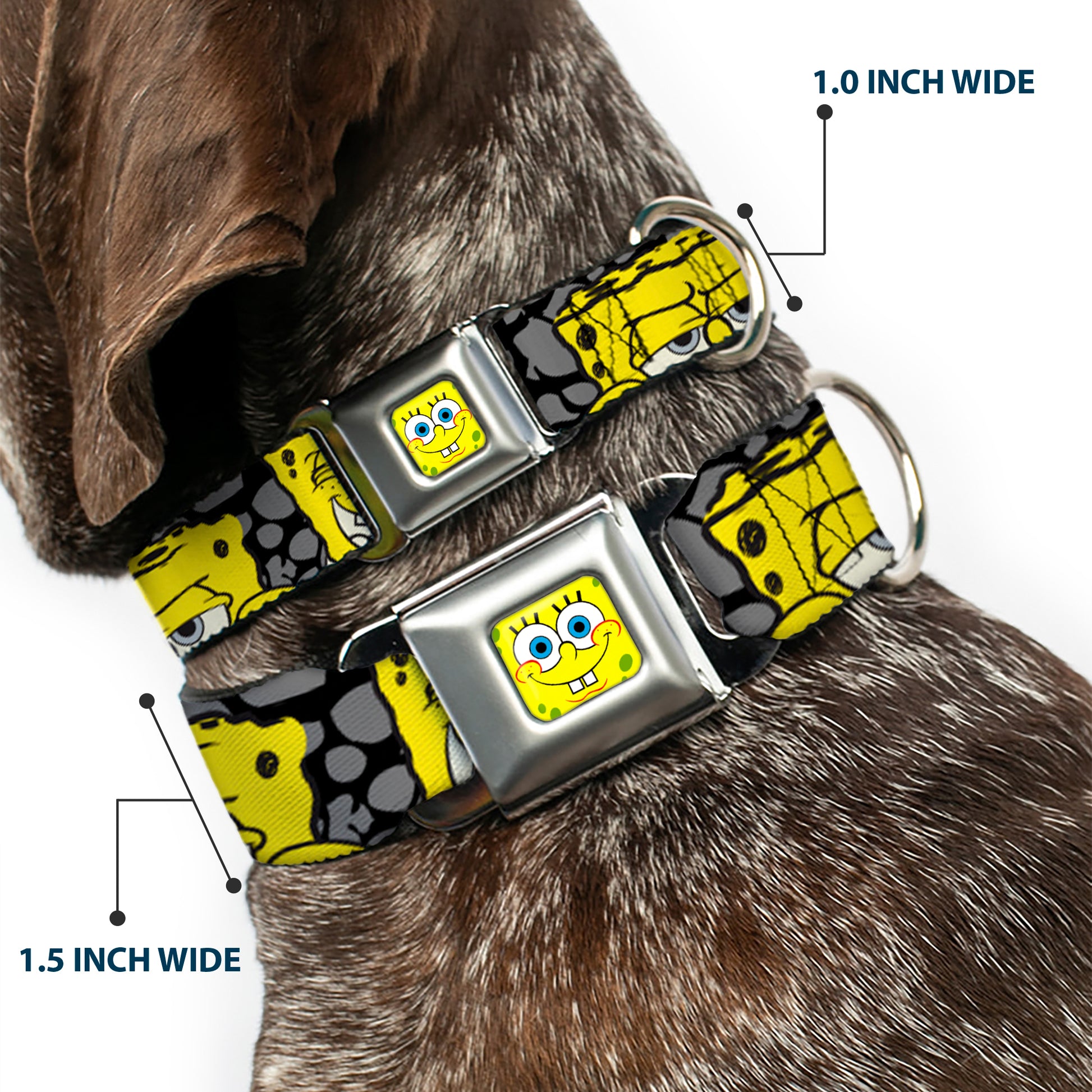 SpongeBob Face CLOSE-UP Full Color Seatbelt Buckle Collar - SpongeBob 4-CLOSE-UP Expressions/Crackle Black/Gray/Yellow Seatbelt Buckle Collars SpongeBob SquarePants