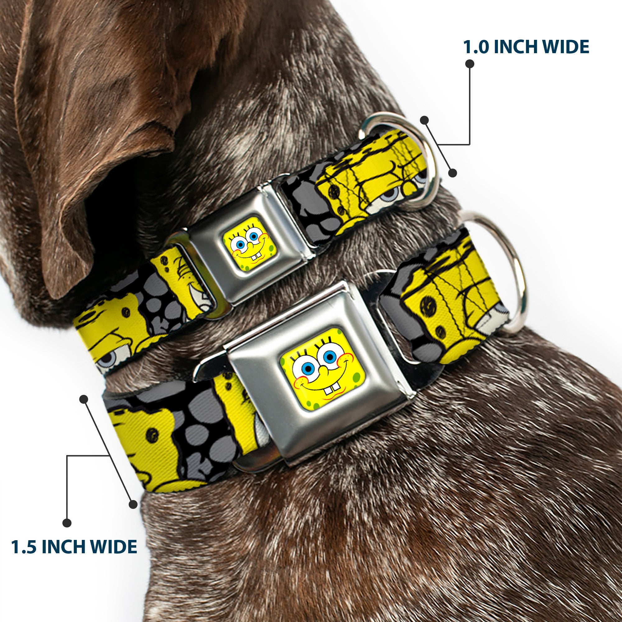 SpongeBob Face CLOSE-UP Full Color Seatbelt Buckle Collar - SpongeBob 4-CLOSE-UP Expressions/Crackle Black/Gray/Yellow Seatbelt Buckle Collars SpongeBob SquarePants