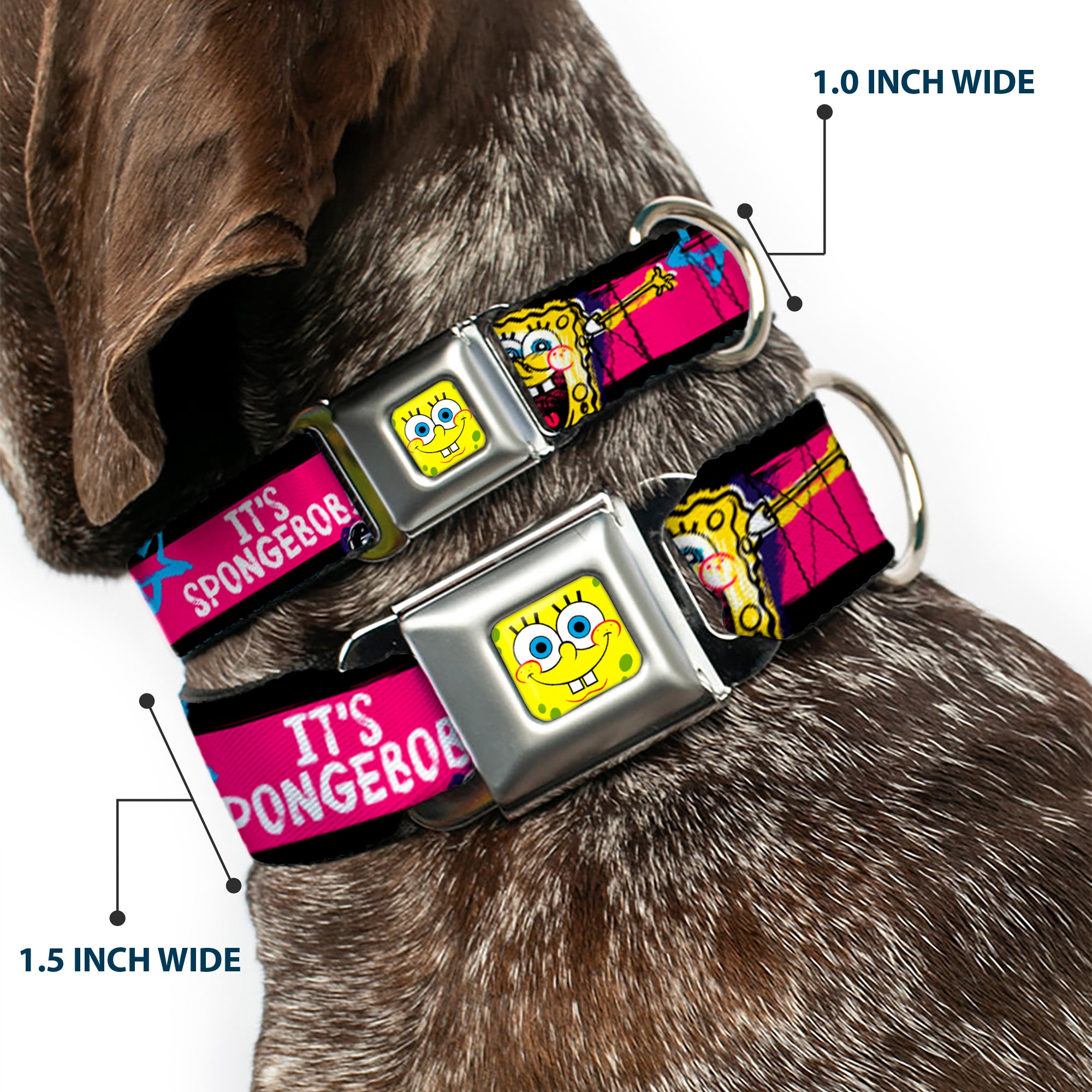 SpongeBob Face CLOSE-UP Full Color Seatbelt Buckle Collar - SpongeBob Pose IT'S SPONGEBOB! Stripe Black/Pink/Blue/White Seatbelt Buckle Collars SpongeBob SquarePants