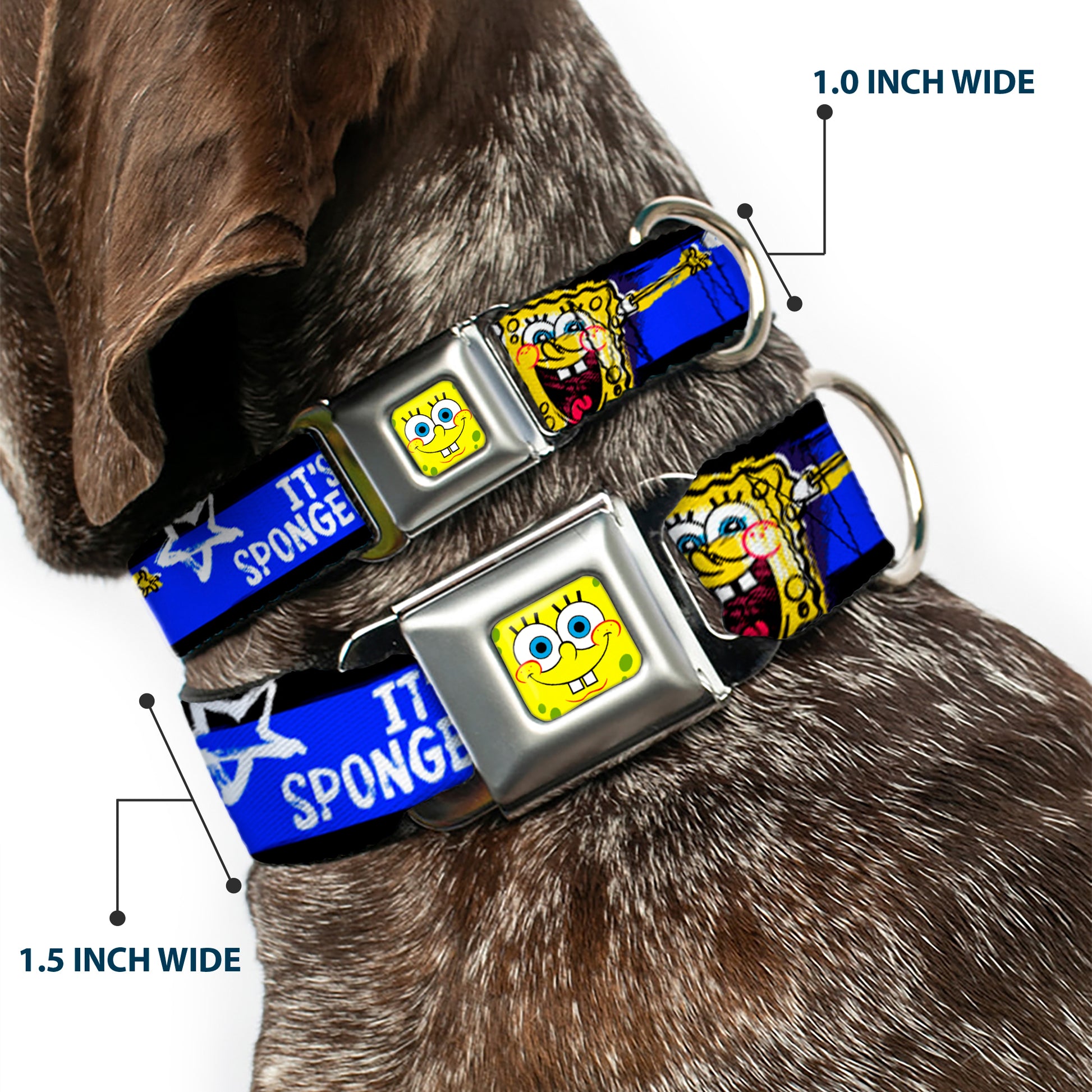 SpongeBob Face CLOSE-UP Full Color Seatbelt Buckle Collar - SpongeBob Pose IT'S SPONGEBOB! Stripe Black/Blue/White Seatbelt Buckle Collars SpongeBob SquarePants
