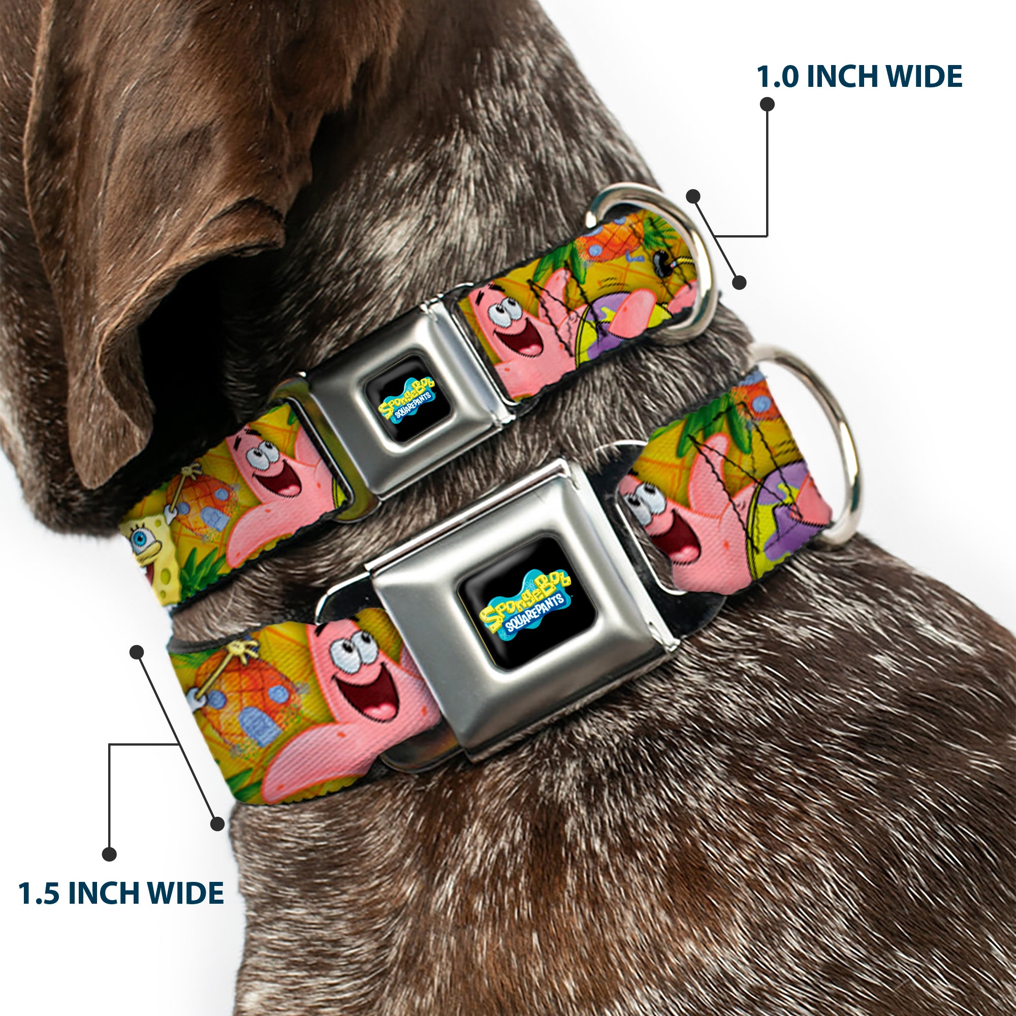 SpongeBob SquarePants Logo Full Color Black Seatbelt Buckle Collar - SpongeBob & Patrick Starfish Poses Pineapple Gold Seatbelt Buckle Collars SpongeBob SquarePants