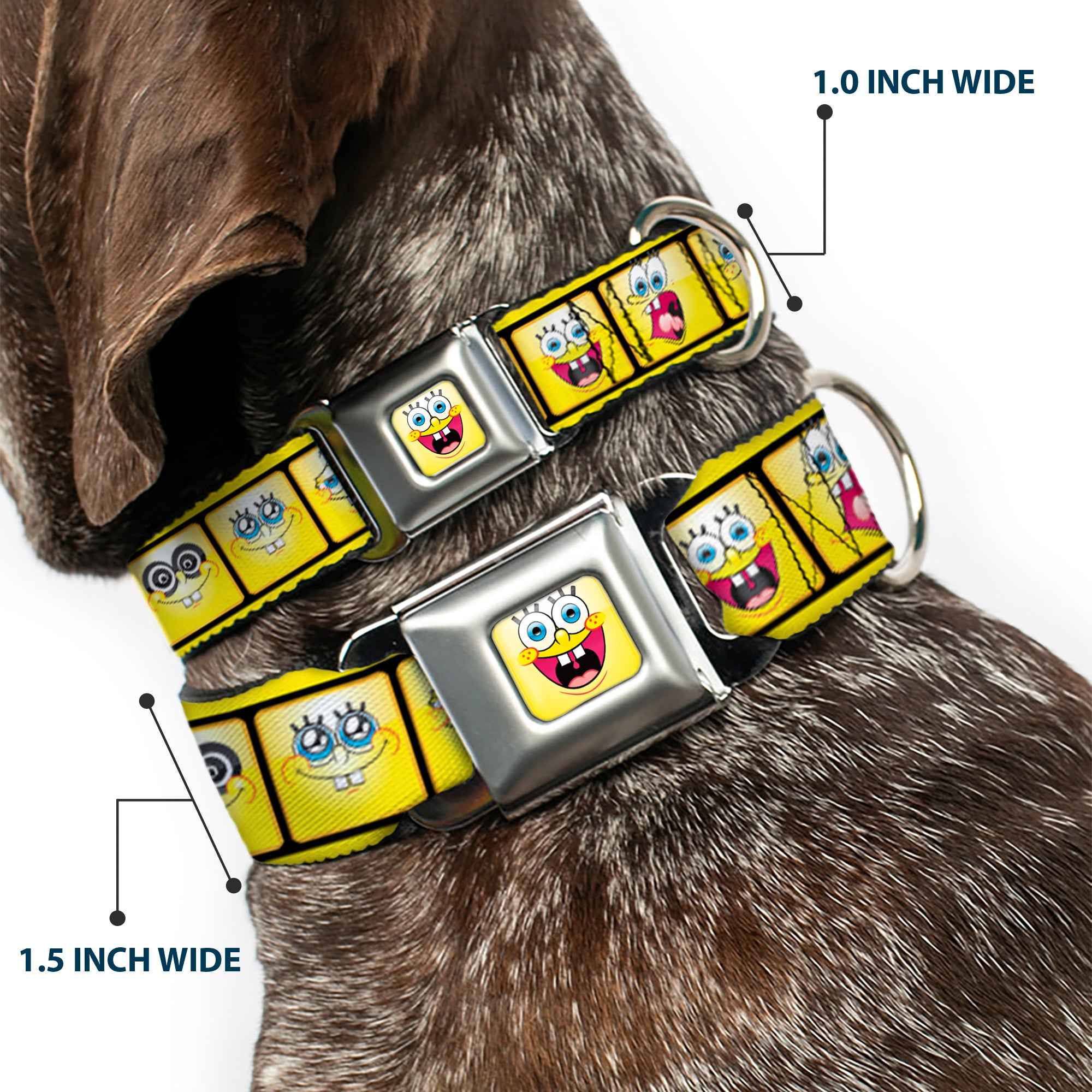 SpongeBob Open Mouth Smile Full Color Seatbelt Buckle Collar - SpongeBob 10-Expressions Filmstrip Yellows/Black/White Seatbelt Buckle Collars SpongeBob SquarePants