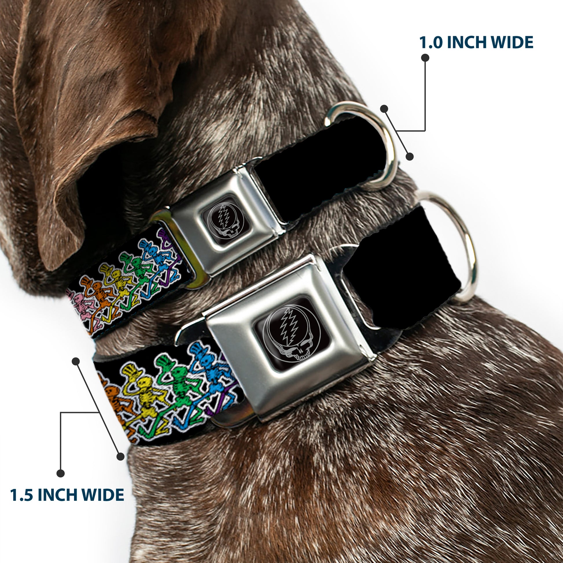 Steal Your Face Seatbelt Buckle Collar - Dancing Skeletons Black/Multi Color Seatbelt Buckle Collars Grateful Dead