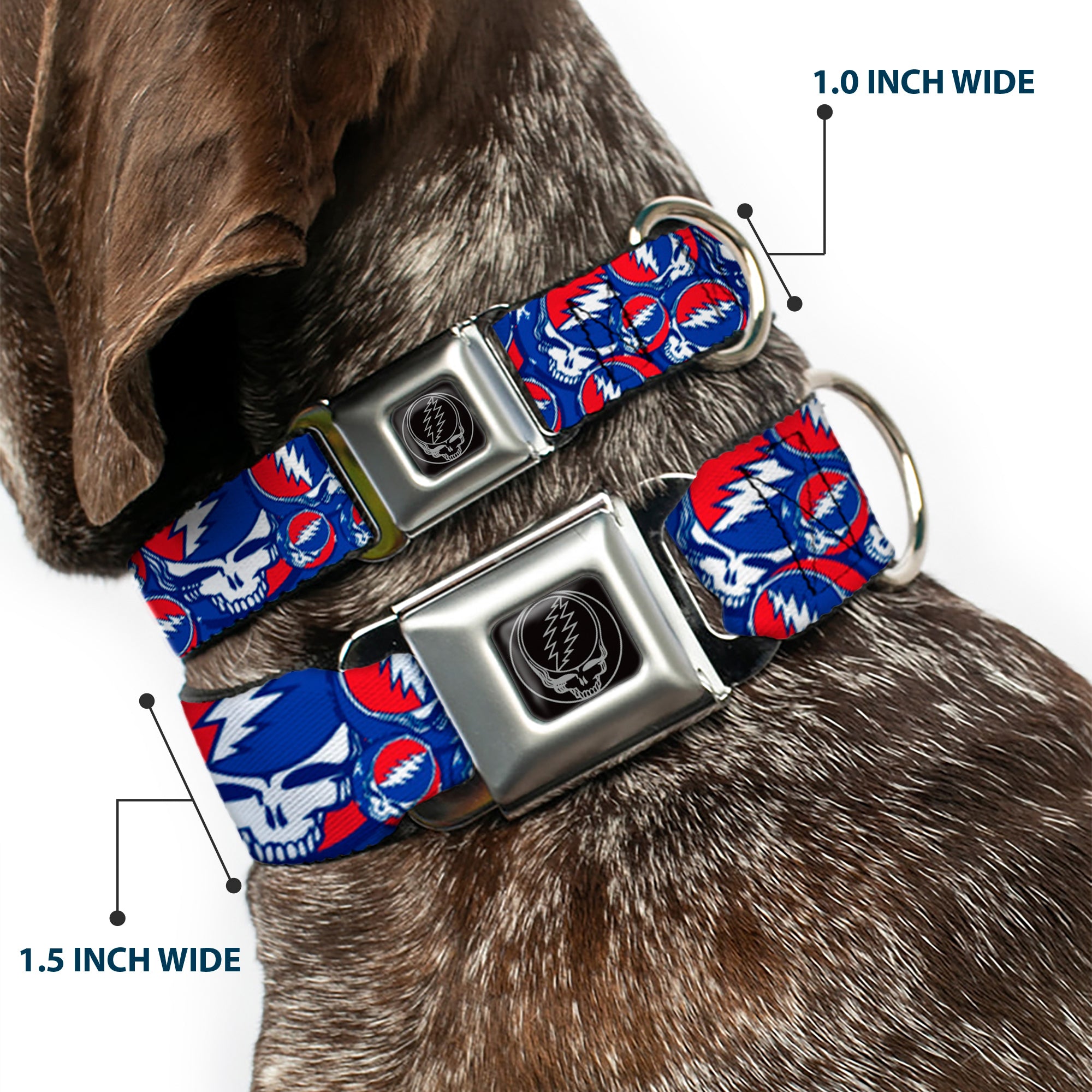 Steal Your Face Seatbelt Buckle Collar - Steal Your Face Stacked Red/White/Blue Seatbelt Buckle Collars Grateful Dead