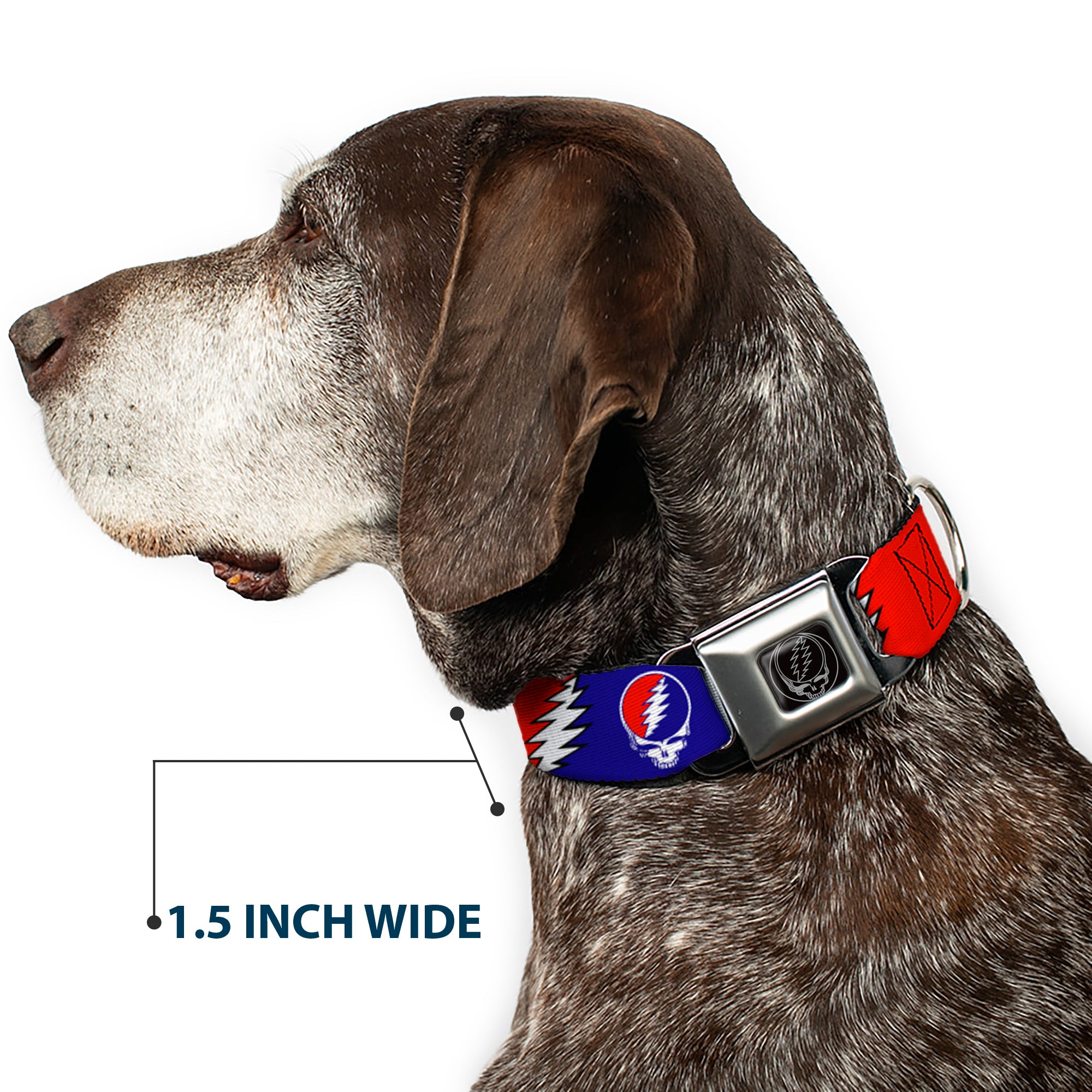 Steal Your Face Seatbelt Buckle Collar - Steal Your Face w/Lightning Bolt Repeat Red/White/Blue Seatbelt Buckle Collars Grateful Dead