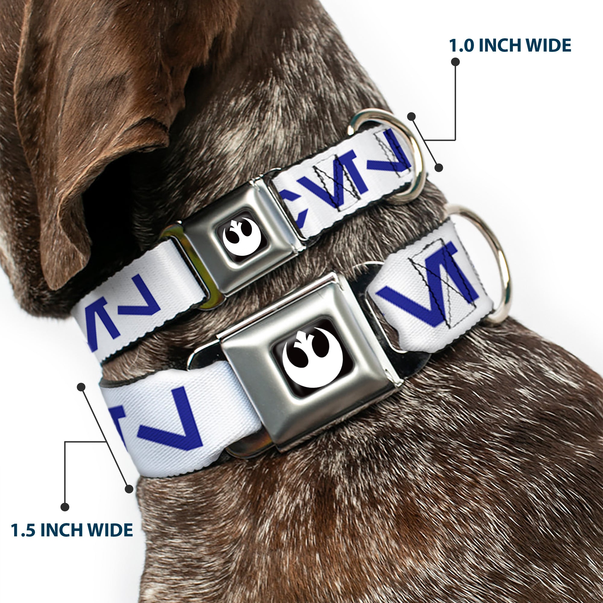 Star Wars Rebel Alliance Insignia Full Color Black/White Seatbelt Buckle Collar - Star Wars Aurebesh REBEL White/Blue Seatbelt Buckle Collars Star Wars