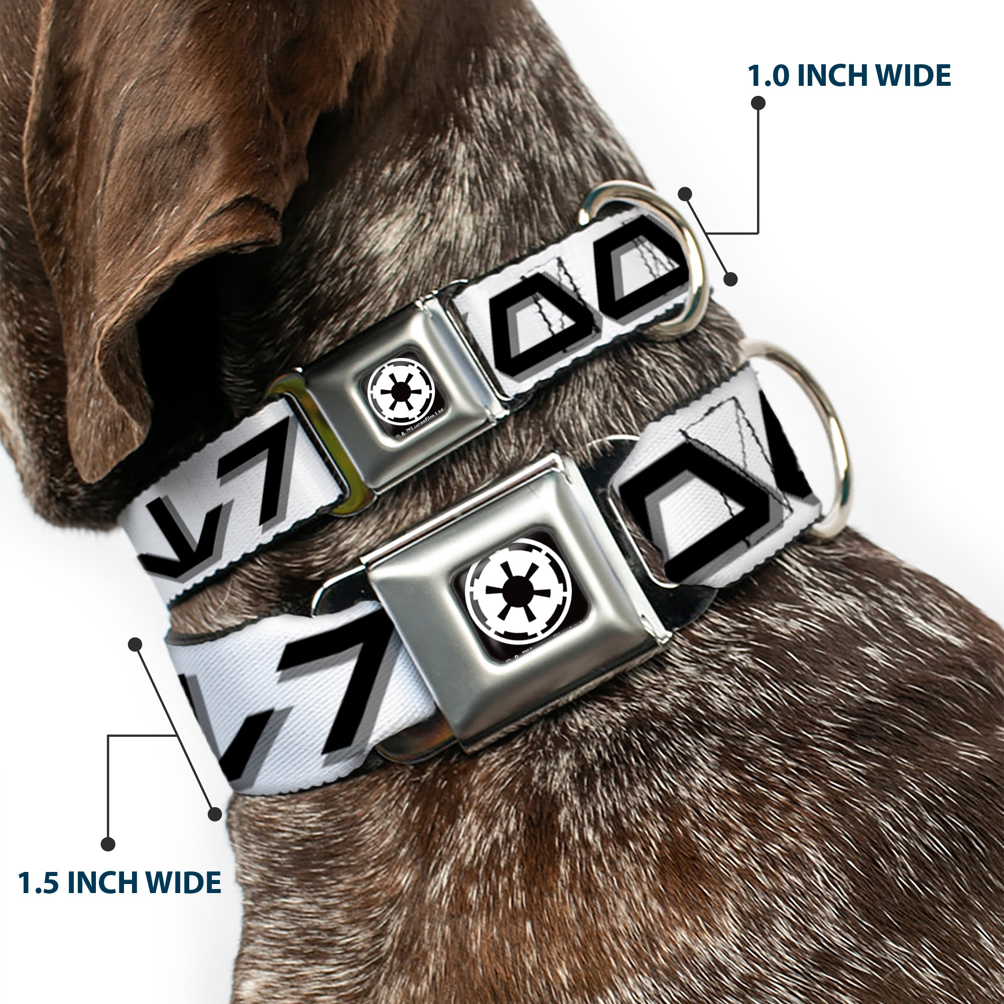 Star Wars Galactic Empire Insignia Full Color Black/White Seatbelt Buckle Collar - Star Wars Aurebesh STORMTROOPER White/Gray/Black Seatbelt Buckle Collars Star Wars
