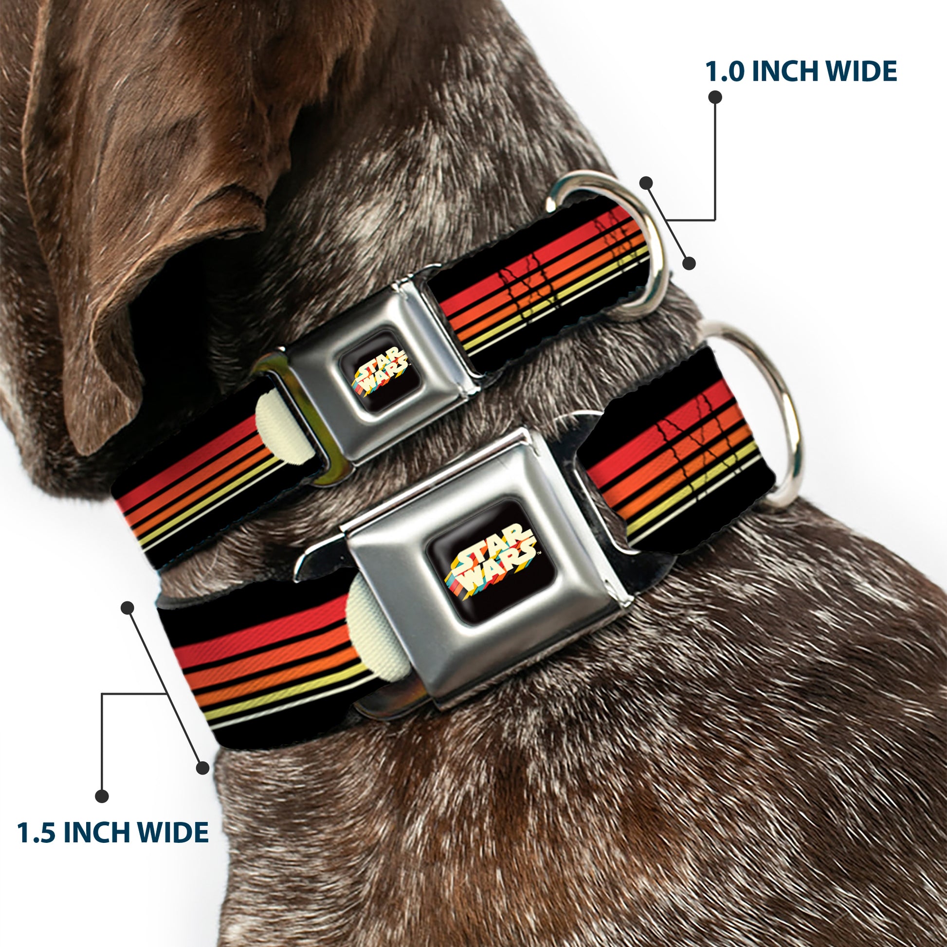 STAR WARS Stripe Logo Full Color Black/Multi Color Seatbelt Buckle Collar - Star Wars Millennium Falcon Stripe Black/Multi Color Seatbelt Buckle Collars Star Wars