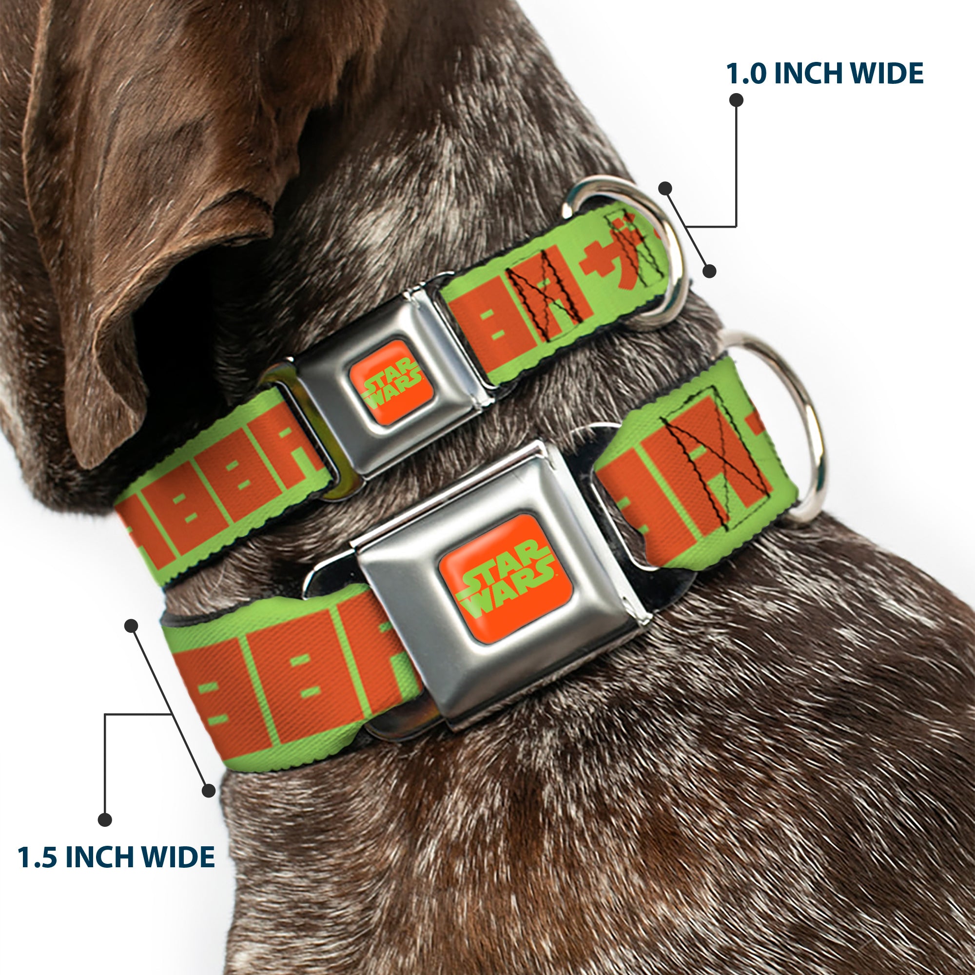 STAR WARS Logo Full Color Orange/Green Seatbelt Buckle Collar - Star Wars JABBA THE HUTT Text and Characters Green/Orange Seatbelt Buckle Collars Star Wars