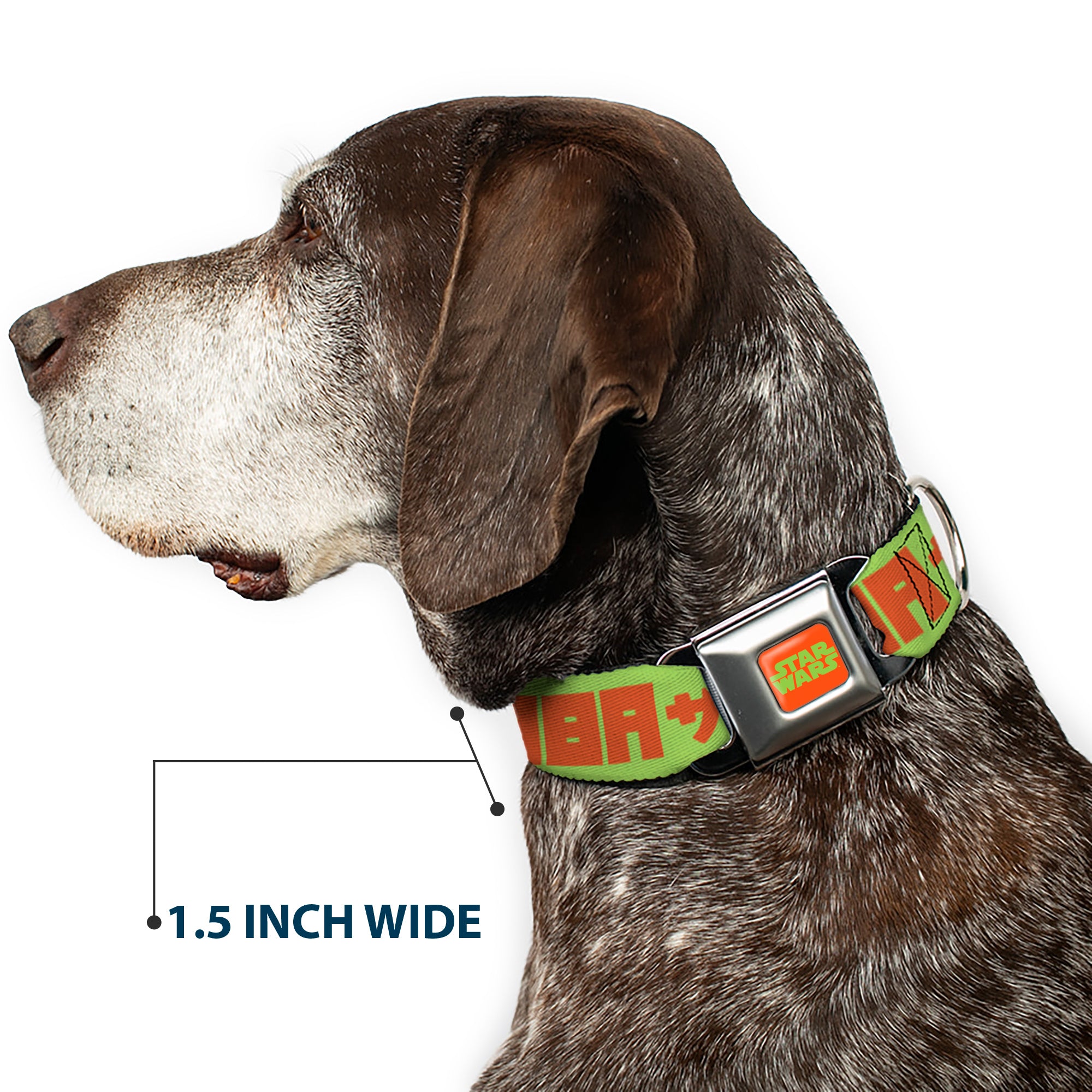 STAR WARS Logo Full Color Orange/Green Seatbelt Buckle Collar - Star Wars JABBA THE HUTT Text and Characters Green/Orange Seatbelt Buckle Collars Star Wars