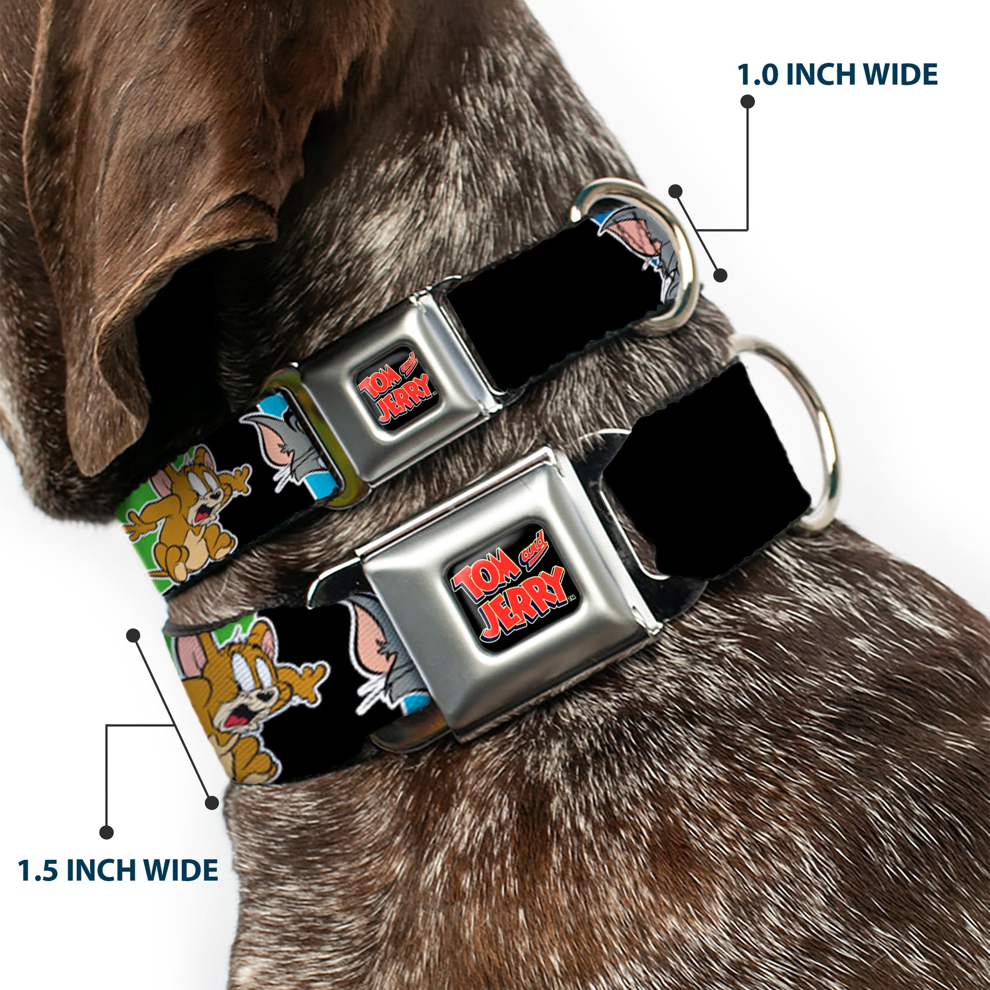 Tom and Jerry Logo Full Color Black Red Seatbelt Buckle Collar - TOM & JERRY Poses Black/Multi Color Seatbelt Buckle Collars Tom and Jerry