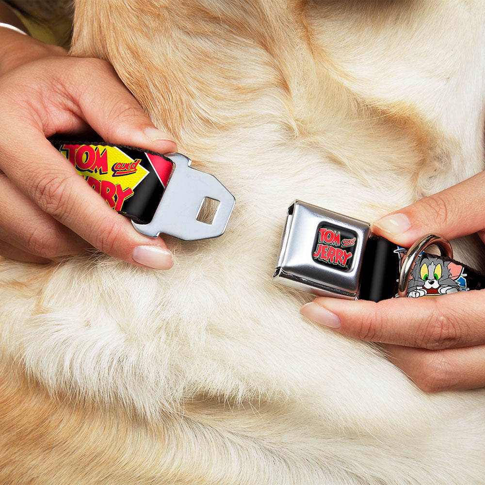Tom and Jerry Logo Full Color Black Red Seatbelt Buckle Collar - TOM & JERRY Poses Black/Multi Color Seatbelt Buckle Collars Tom and Jerry