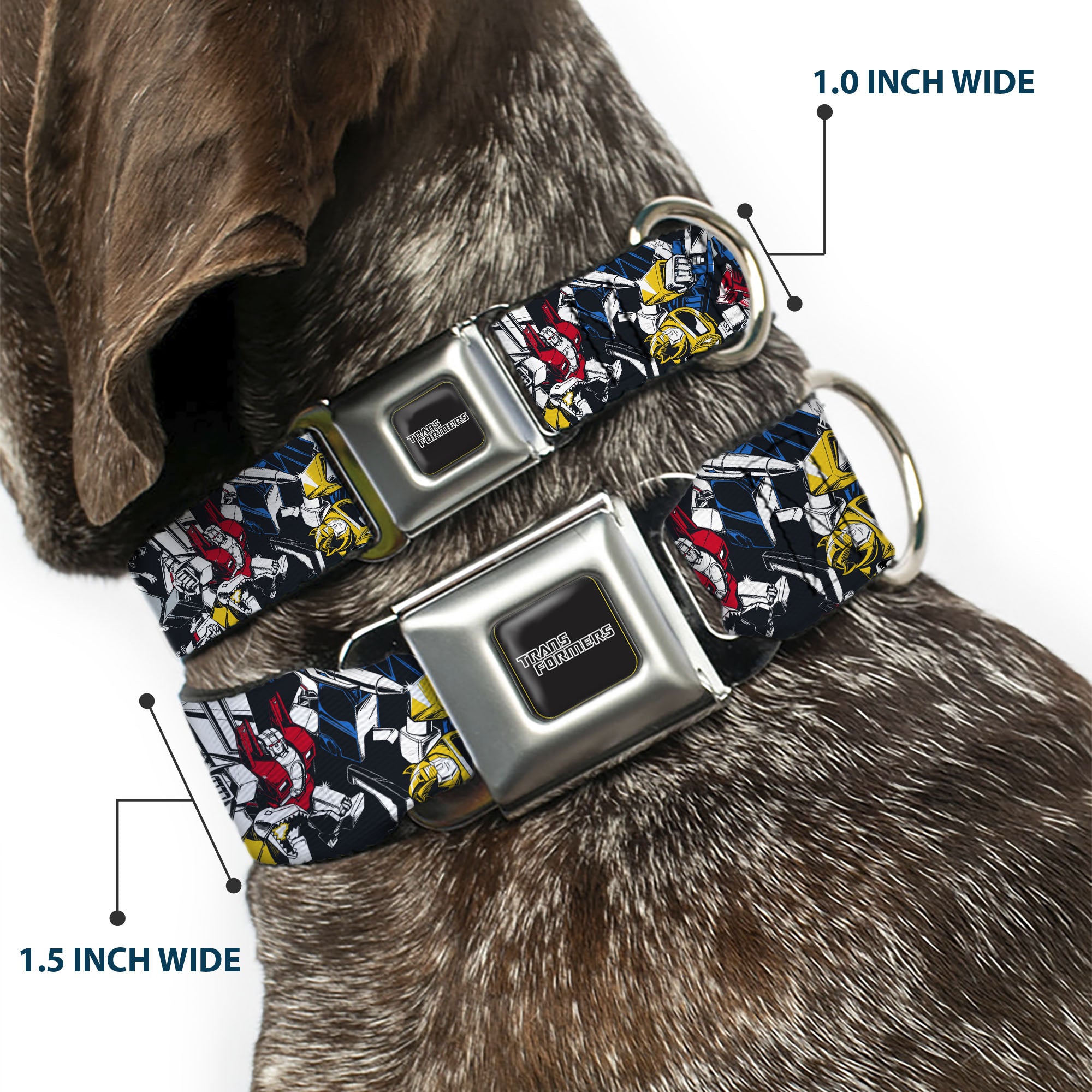 TRANSFORMERS Title Logo Full Color Black/Gray Fade Seatbelt Buckle Collar - Transformers Autobot and Decepticon Robots and Alternate Modes Collage Seatbelt Buckle Collars Transformers