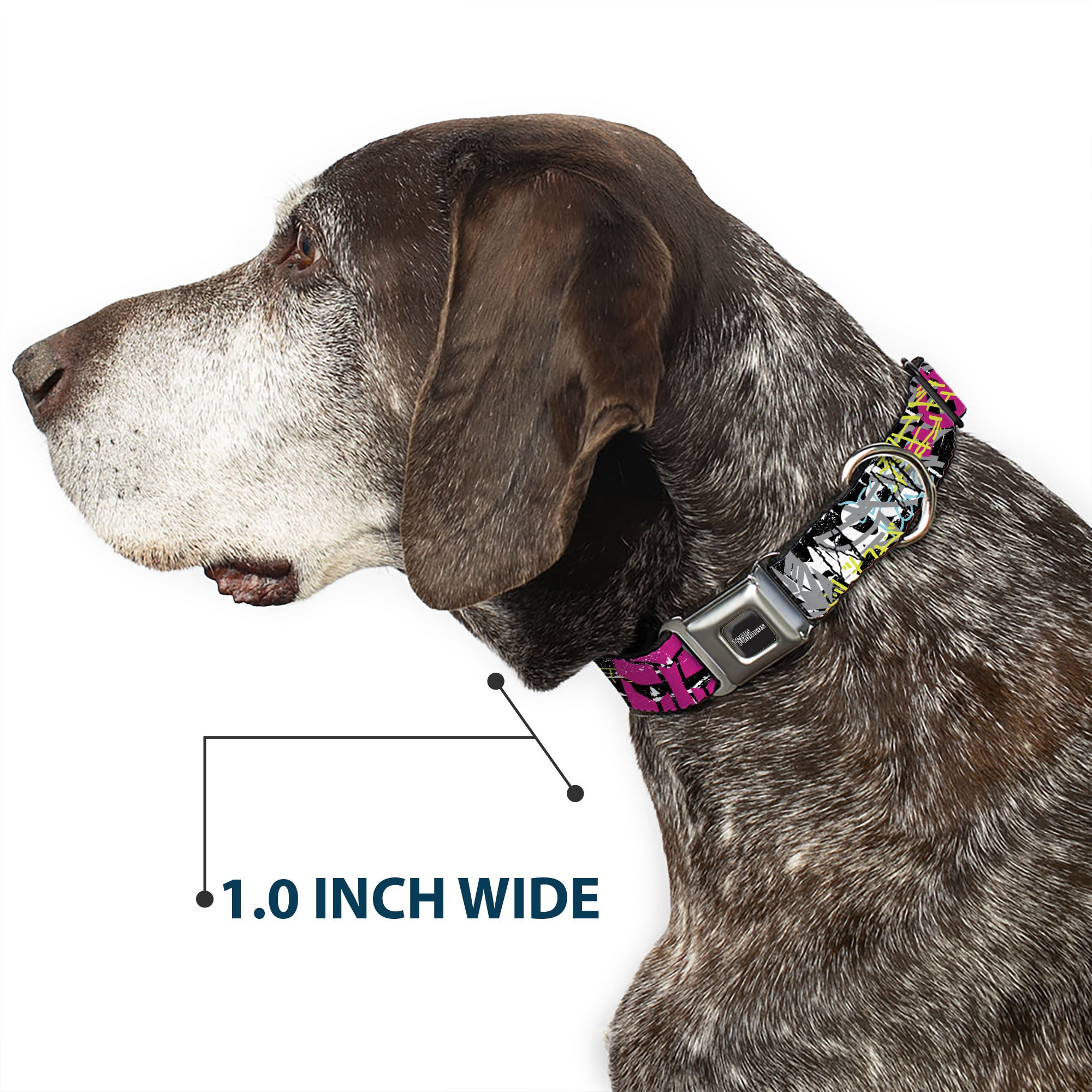 TRANSFORMERS Title Logo Full Color Black/Gray Fade Seatbelt Buckle Collar - Transformers Icons and Names Graffiti Collage Black/Multi Color Seatbelt Buckle Collars Transformers