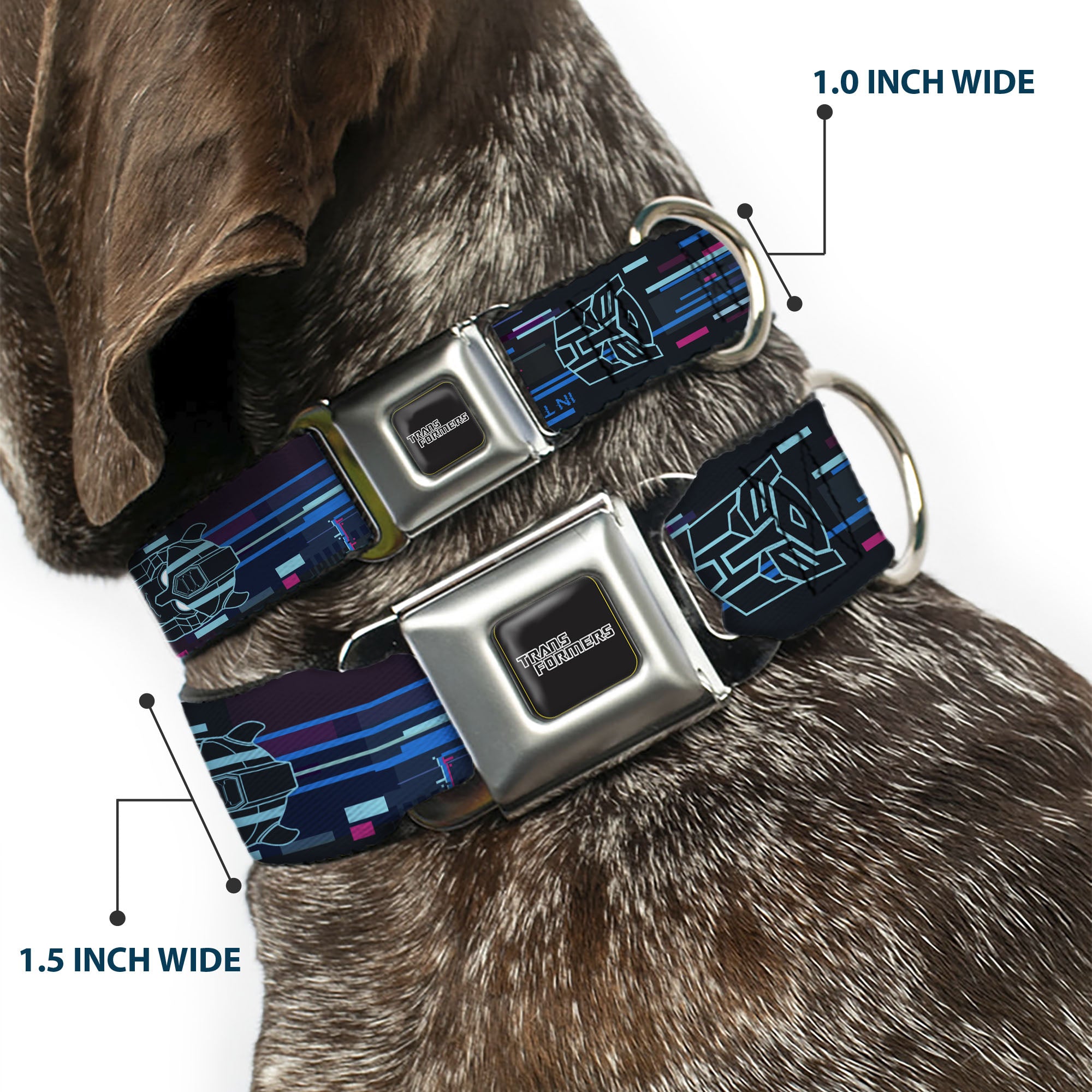 TRANSFORMERS Title Logo Full Color Black/Gray Fade Seatbelt Buckle Collar - Transformers Autobots IN THE ZONE Icons Blues/Reds Seatbelt Buckle Collars Transformers