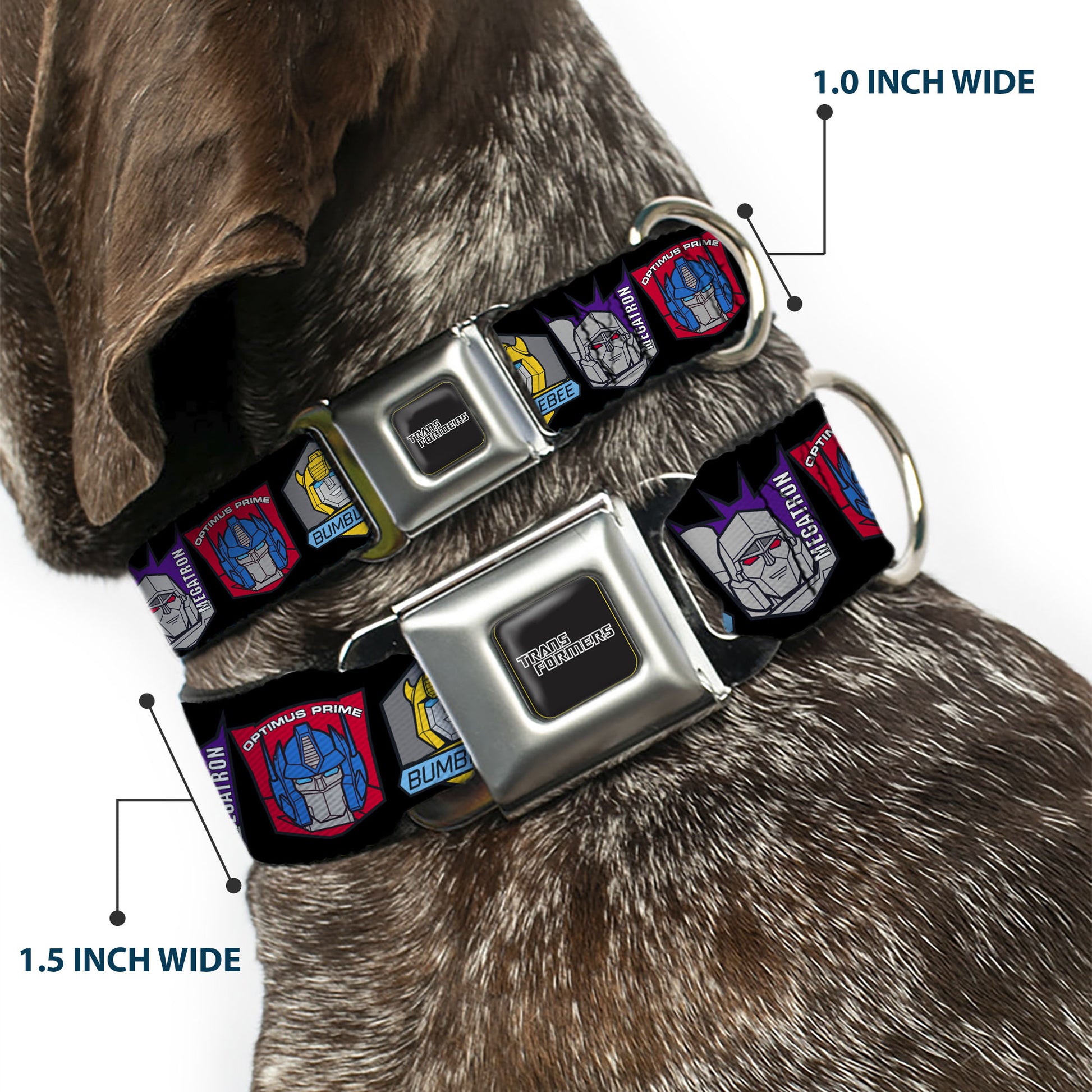 TRANSFORMERS Title Logo Full Color Black/Gray Fade Seatbelt Buckle Collar - Transformers Three Character Pose Icons Black Seatbelt Buckle Collars Transformers