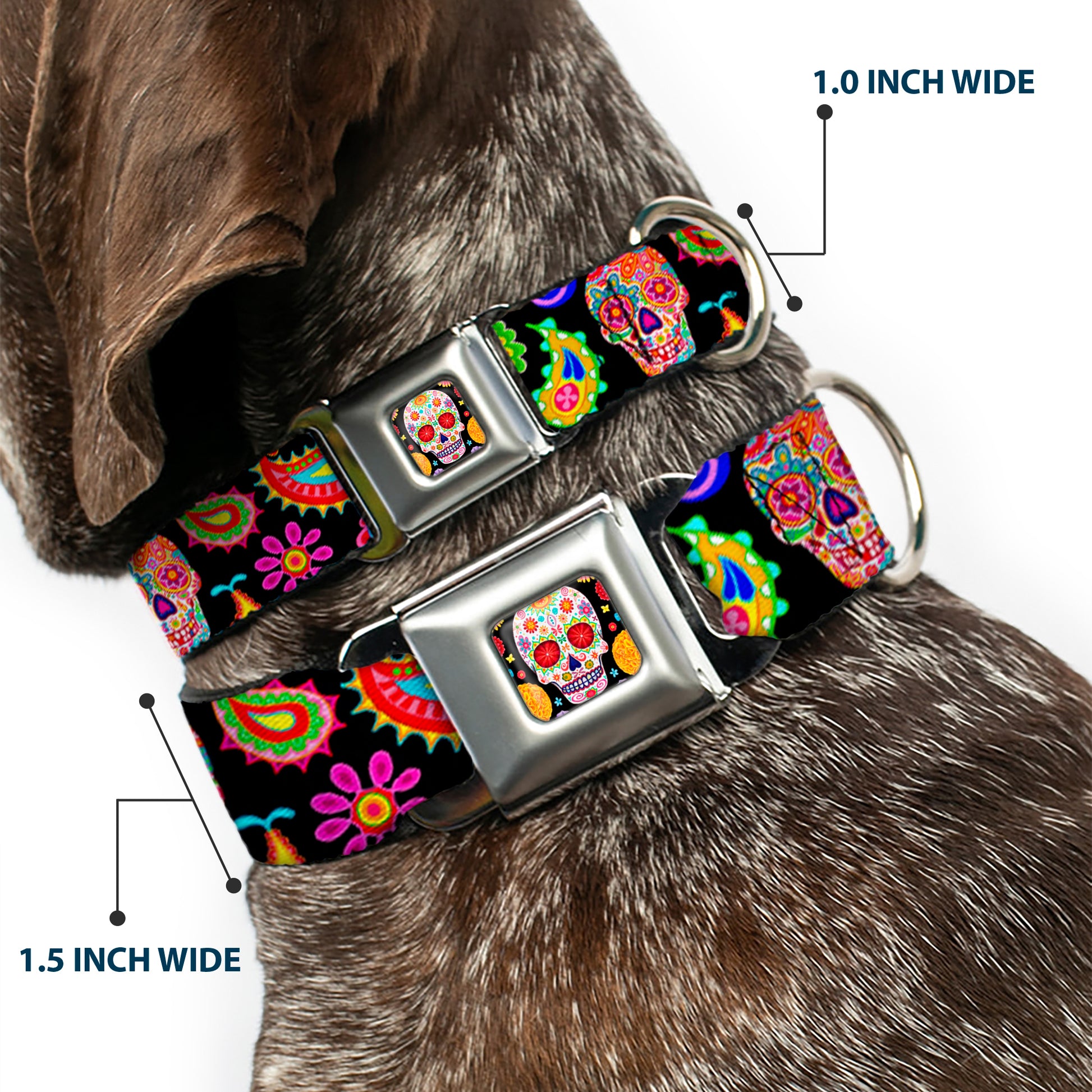 Sugar Skull Starburst Full Color Black/Multi Color Seatbelt Buckle Collar - Bobo Sugar Skull/Paisley Black/Multi Color Seatbelt Buckle Collars Thaneeya McArdle