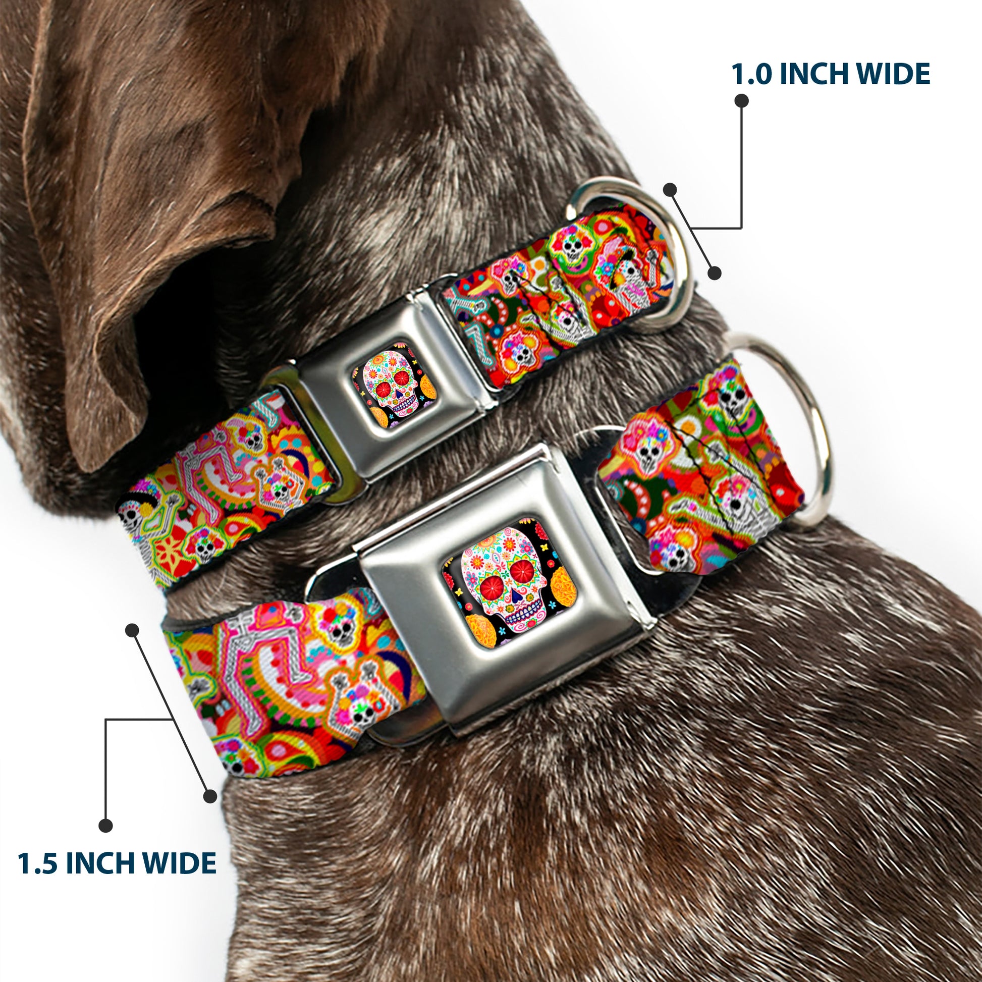 Sugar Skull Starburst Full Color Black/Multi Color Seatbelt Buckle Collar - Dancing Catrinas Collage Multi Color Seatbelt Buckle Collars Thaneeya McArdle