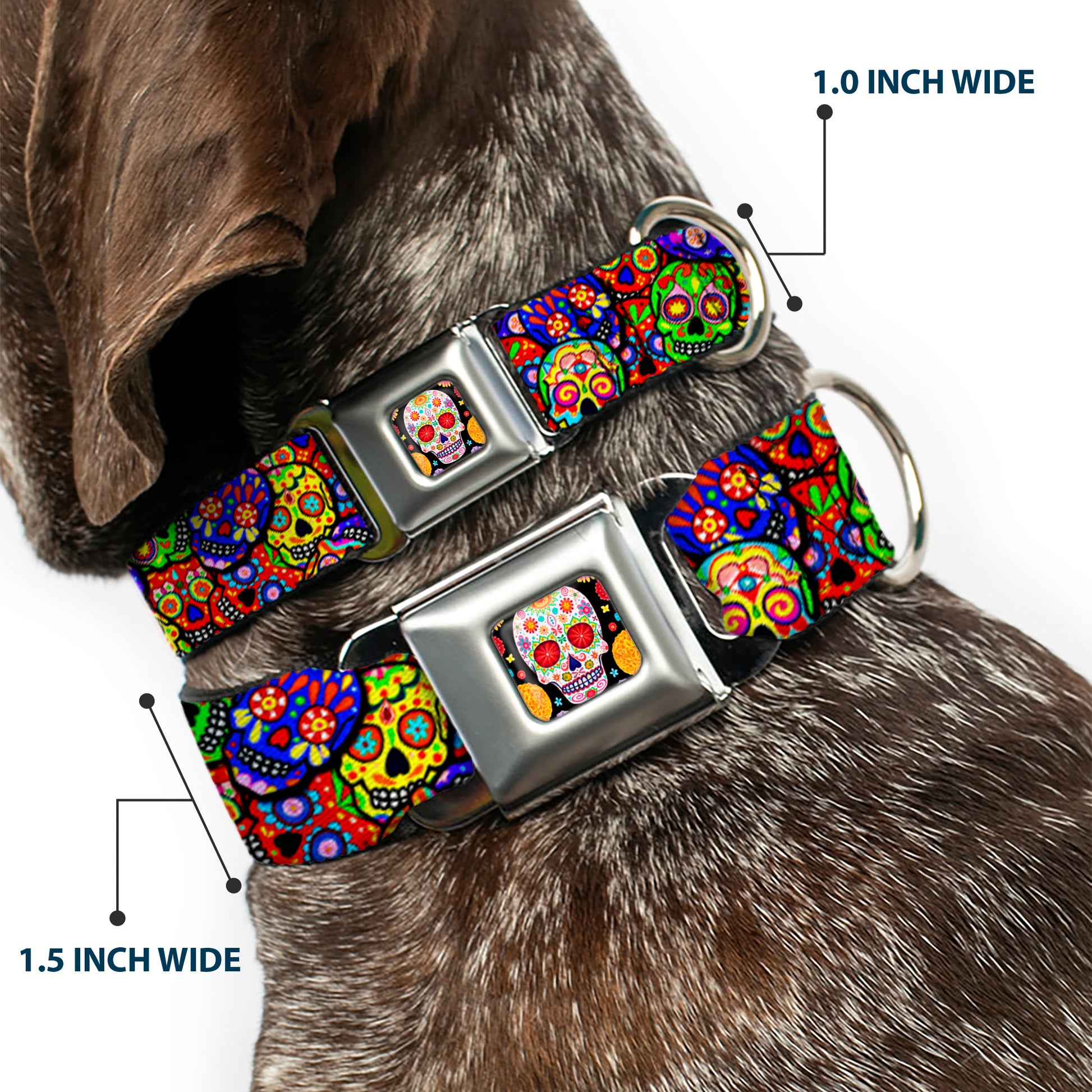 Sugar Skull Starburst Full Color Black/Multi Color Seatbelt Buckle Collar - Colorful Calaveras Stacked Multi Color Seatbelt Buckle Collars Thaneeya McArdle
