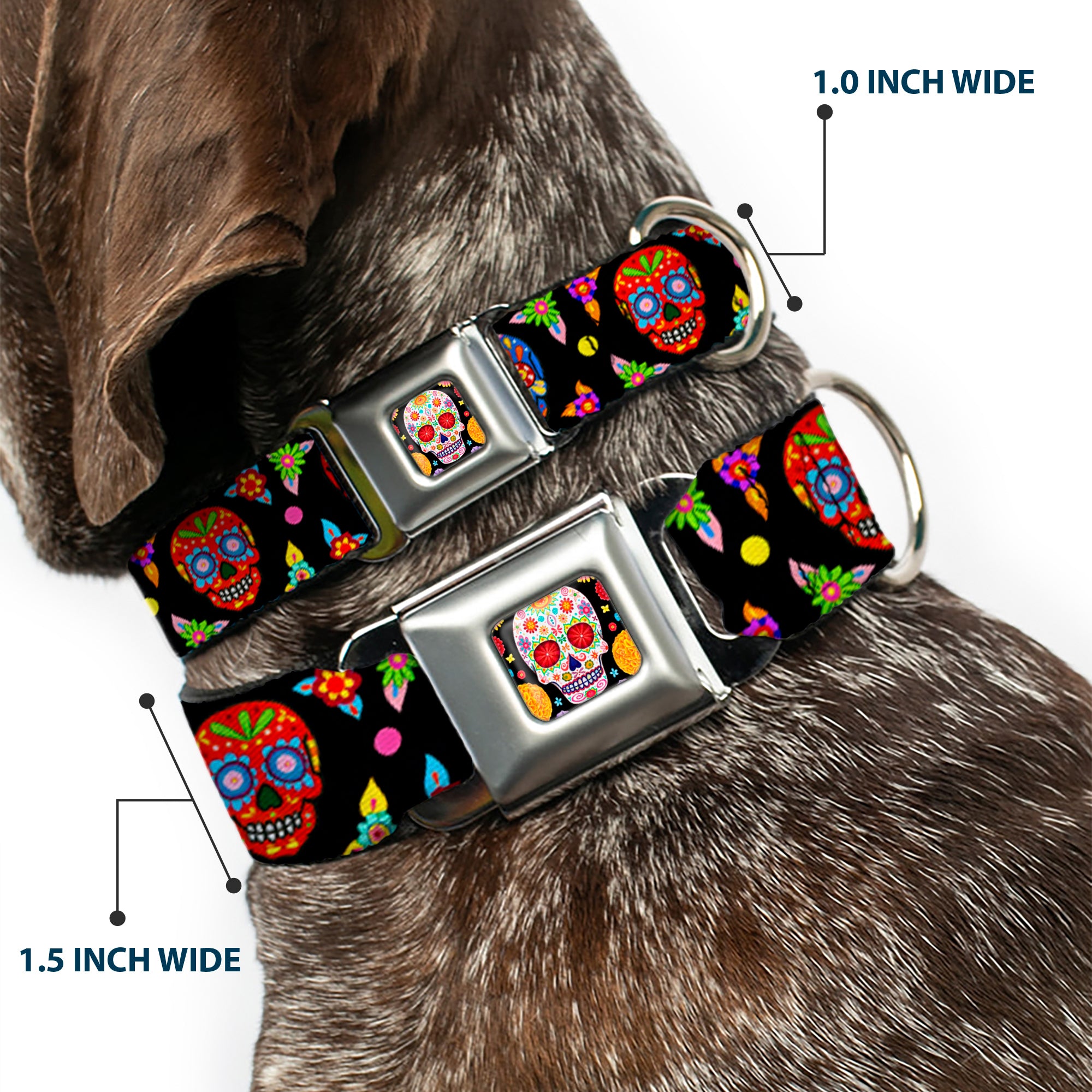 Sugar Skull Starburst Full Color Black/Multi Color Seatbelt Buckle Collar - Colorful Calaveras Black/Multi Color Seatbelt Buckle Collars Thaneeya McArdle