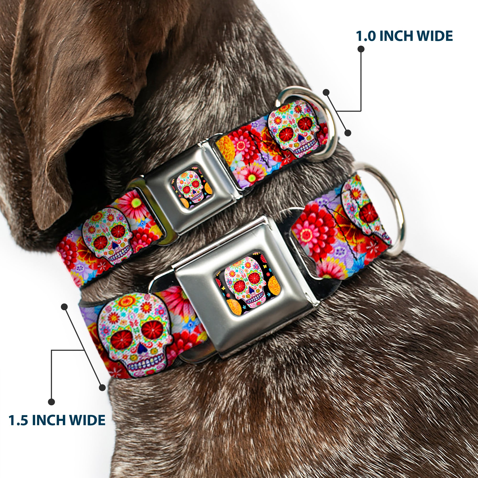 Sugar Skull Starburst Full Color Black/Multi Color Seatbelt Buckle Collar - Sugar Skull Starburst White/Multi Color Seatbelt Buckle Collars Thaneeya McArdle