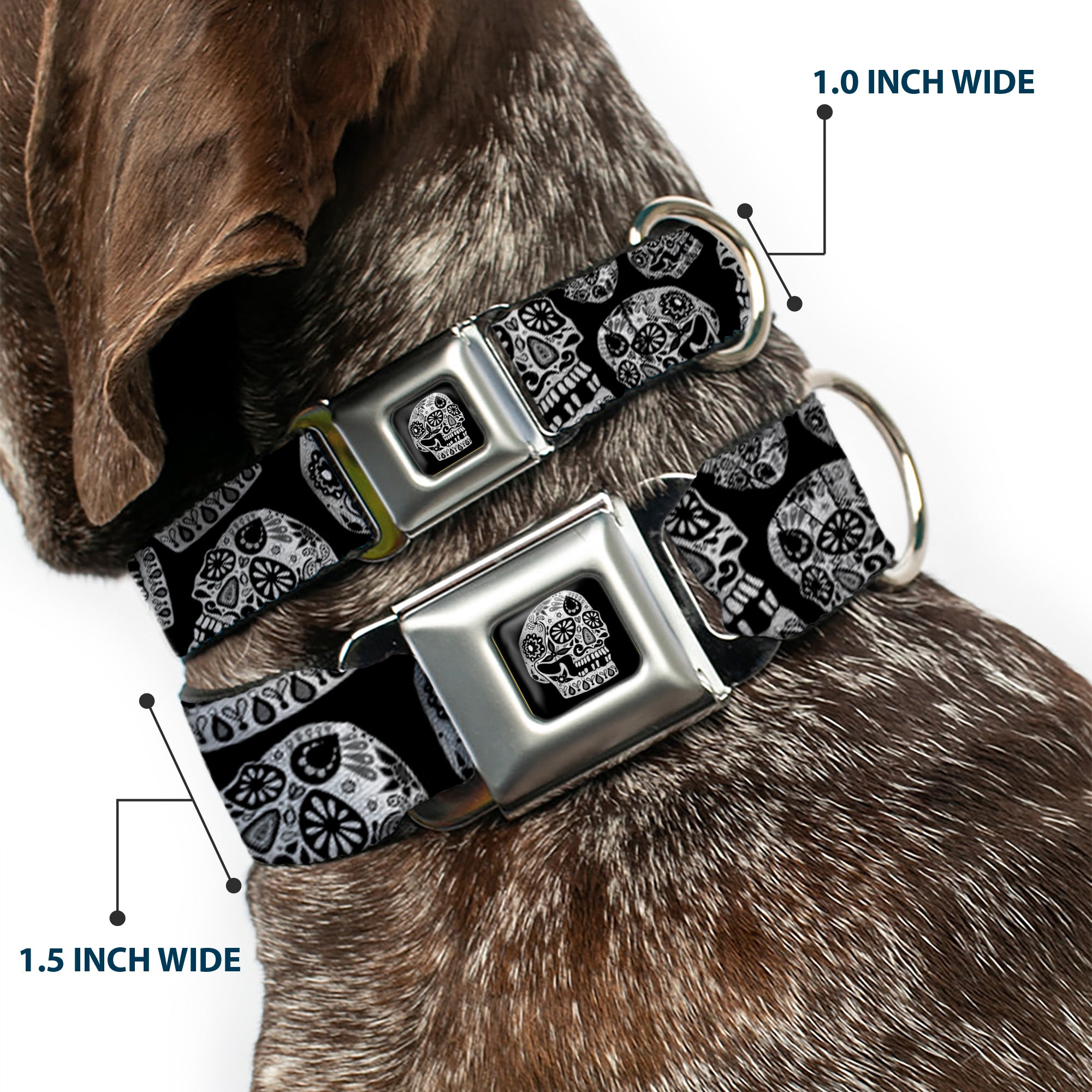 The Dust of Living II Skull Full Color Black/White Seatbelt Buckle Collar - The Dust of Living II Sugar Skulls Black/White Seatbelt Buckle Collars Thaneeya McArdle