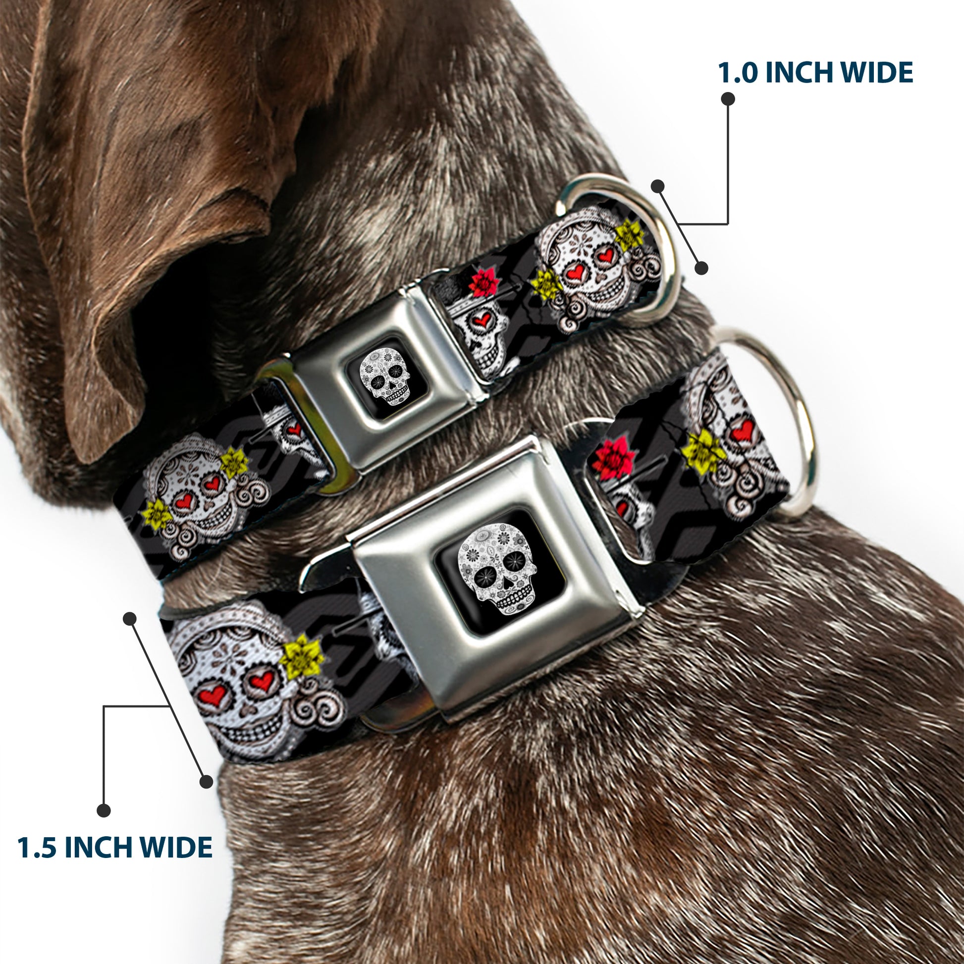 Sugar Skull Full Color Black/White/Gray Seatbelt Buckle Collar - Los Novios Black/Gray/White/Multi Color Seatbelt Buckle Collars Thaneeya McArdle