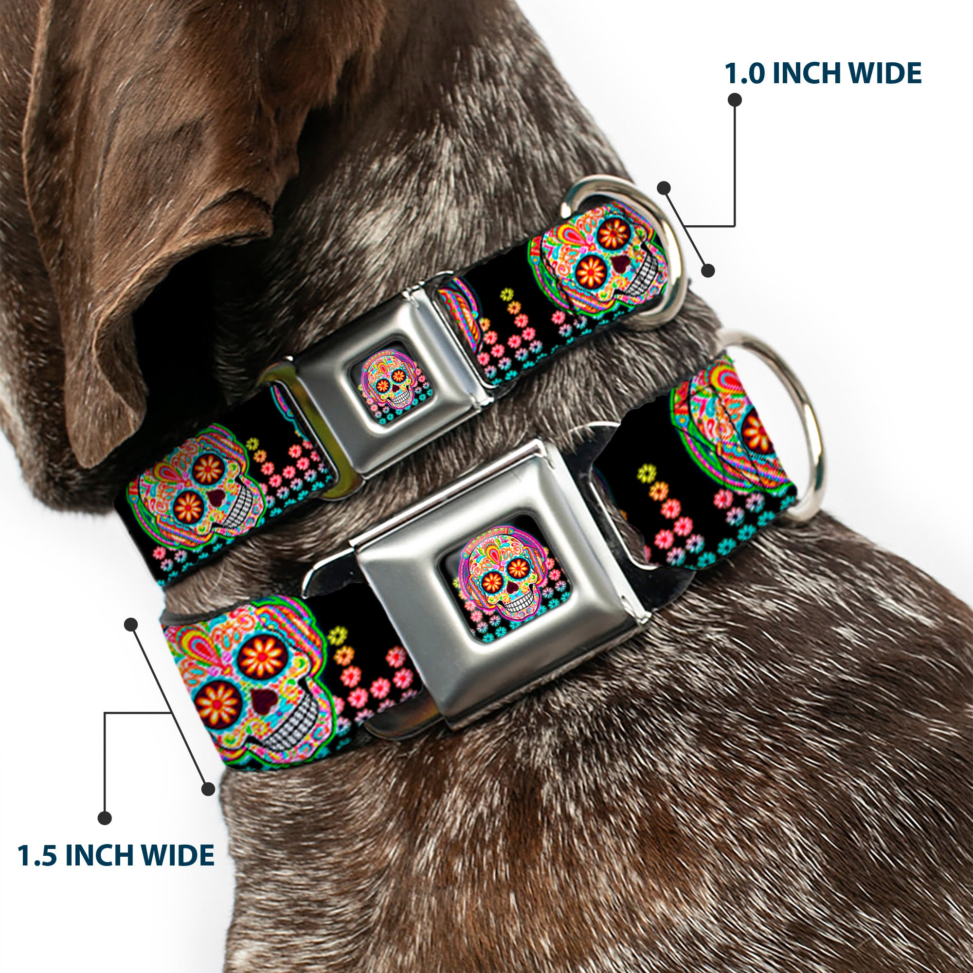 Tranquility Beats Calavera/Floral Equalizer Full Color Black/Multi Color Seatbelt Buckle Collar - Tranquility Beats Calaveras/Floral Equalizer Black/Multi Color Seatbelt Buckle Collars Thaneeya McArdle