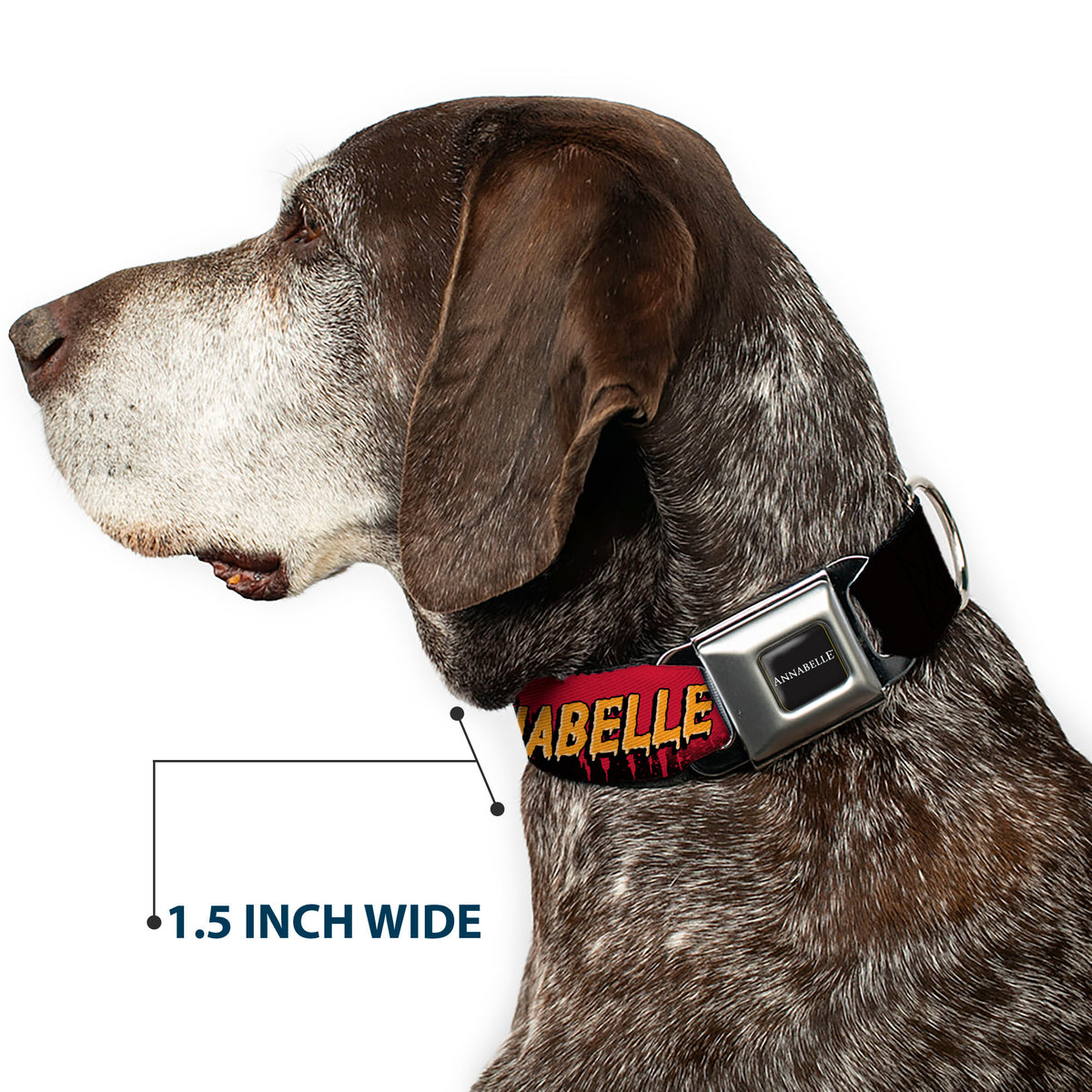 ANNABELLE Title Logo Full Color Black/White Seatbelt Buckle Collar - ANNABELLE MISS ME DOLL FACE Pose Black/Reds