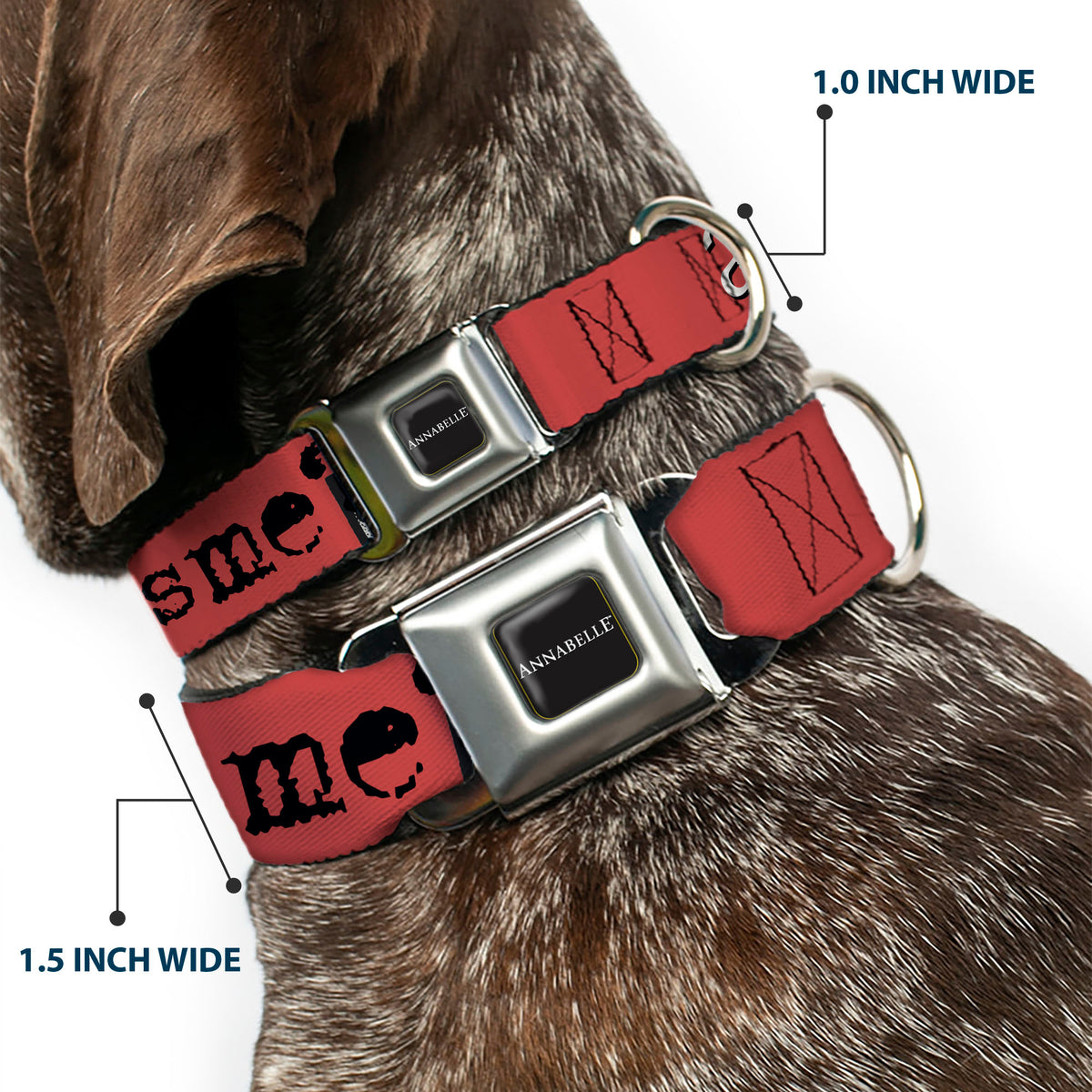 ANNABELLE Title Logo Full Color Black/White Seatbelt Buckle Collar - ANNABELLE MISS ME Eyes and Text Red/Black/White