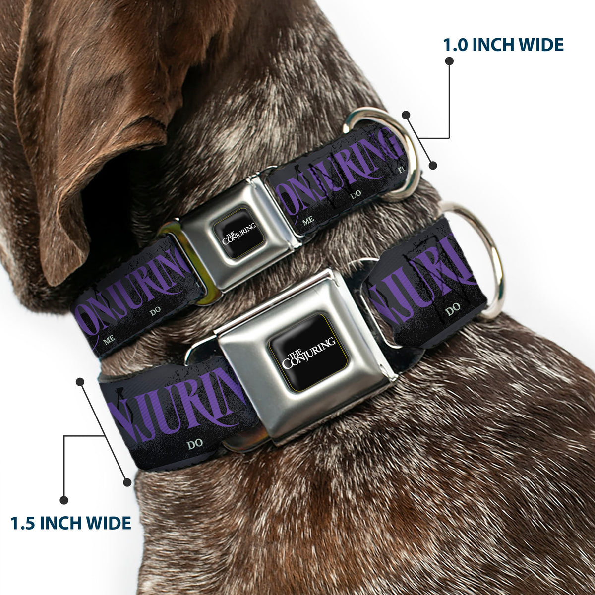 THE CONJURING Title Logo Full Color Black/White Seatbelt Buckle Collar - THE CONJURING SHE MADE ME DO IT Black/Gray/Purple Dog Collars Seatbelt Buckle The Conjuring