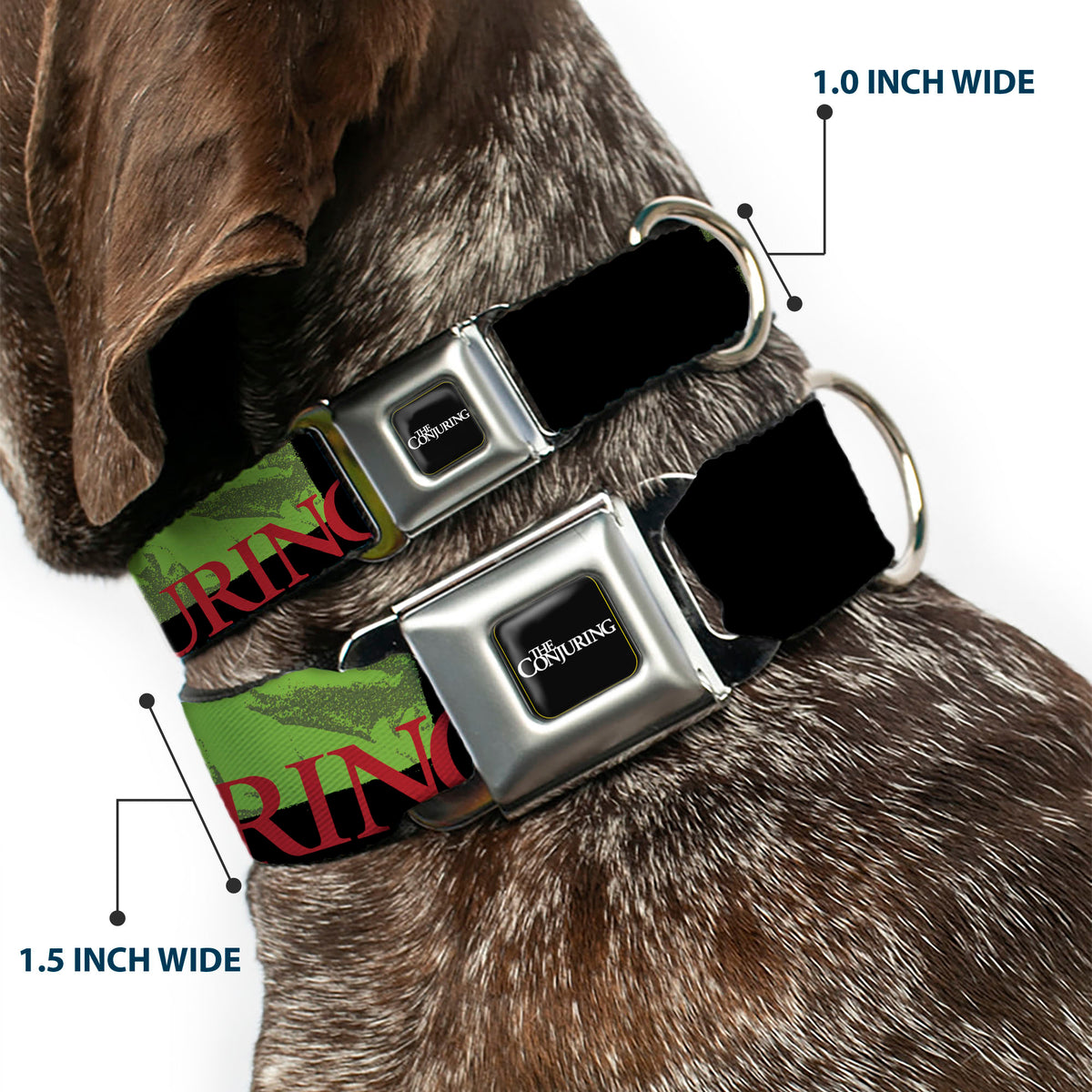 THE CONJURING Title Logo Full Color Black/White Seatbelt Buckle Collar - THE CONJURING Annabelle Pose and Blocks Black/Greens/Red