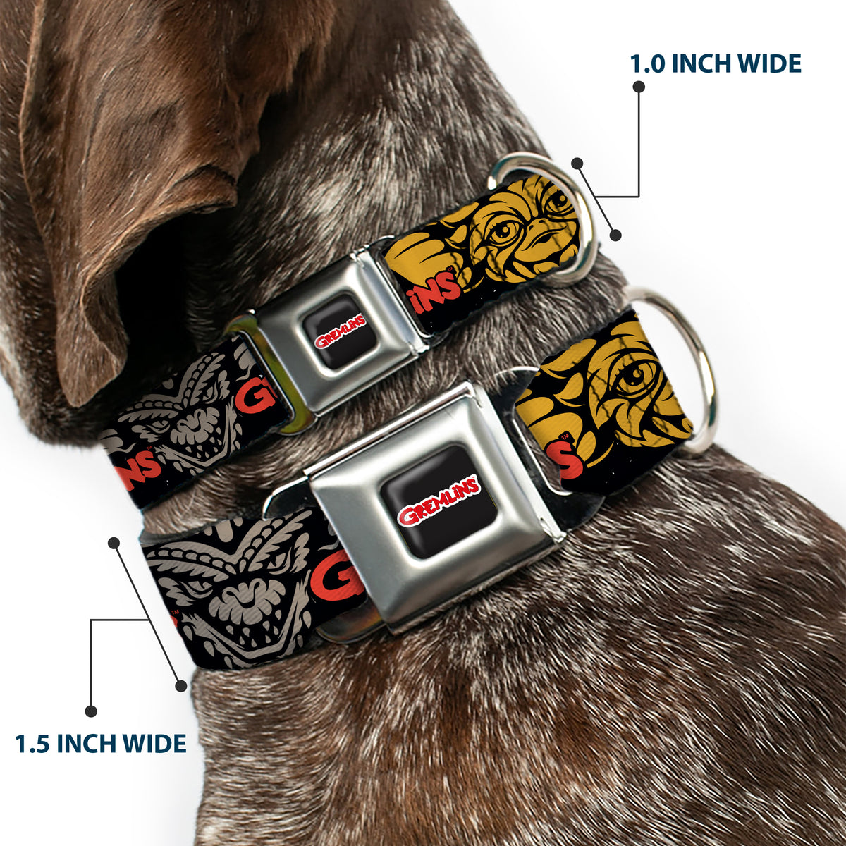 GREMLINS Text Logo Full Color Black/Red Seatbelt Buckle Collar - GREMLINS Gizmo and Stripe Faces Black/Red/Orange/Gray Dog Collars Seatbelt Buckle Gremlins