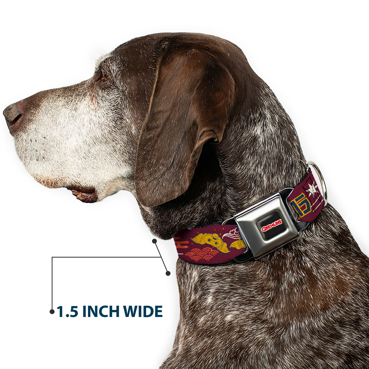 GREMLINS Text Logo Full Color Black/Red Seatbelt Buckle Collar - GREMLINS Care Rules Anime Style Collage Burgundy/Multi Color Dog Collars Seatbelt Buckle Gremlins
