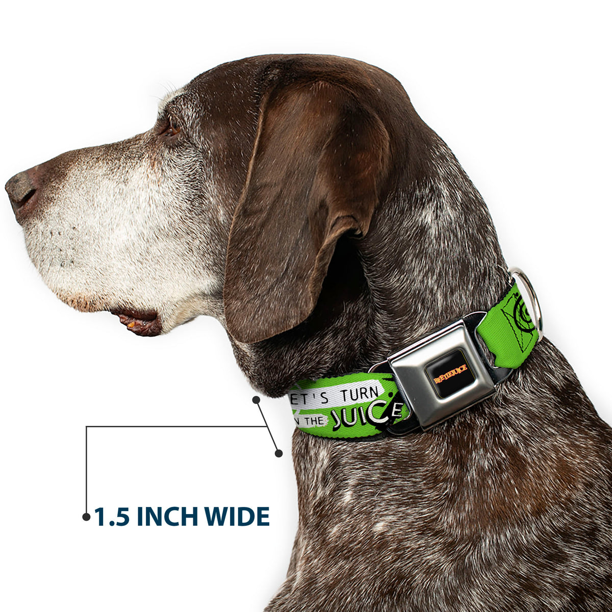 BEETLEJUICE Title Logo Full Color Black/Yellow Seatbelt Buckle Collar - BEETLEJUICE Face and Quotes Collage Pink/Green/Black Dog Collars Seatbelt Buckle Beetlejuice