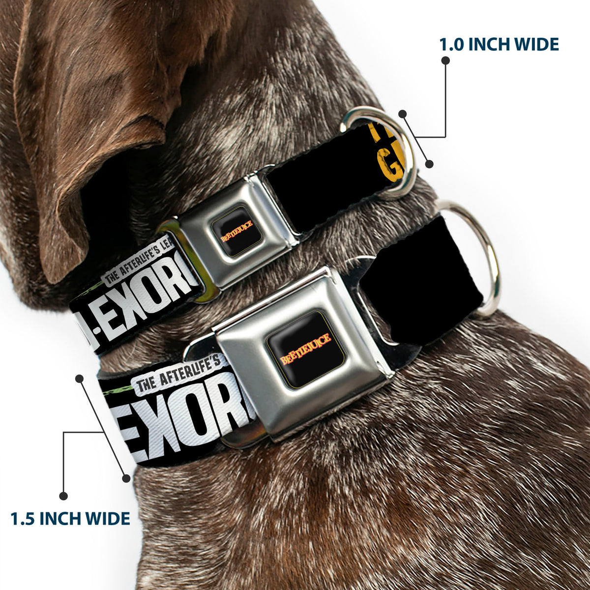 BEETLEJUICE Title Logo Full Color Black/Yellow Seatbelt Buckle Collar - BEETLEJUICE Cartoon Quotes and Scene Black/Multi Color Dog Collars Seatbelt Buckle Beetlejuice