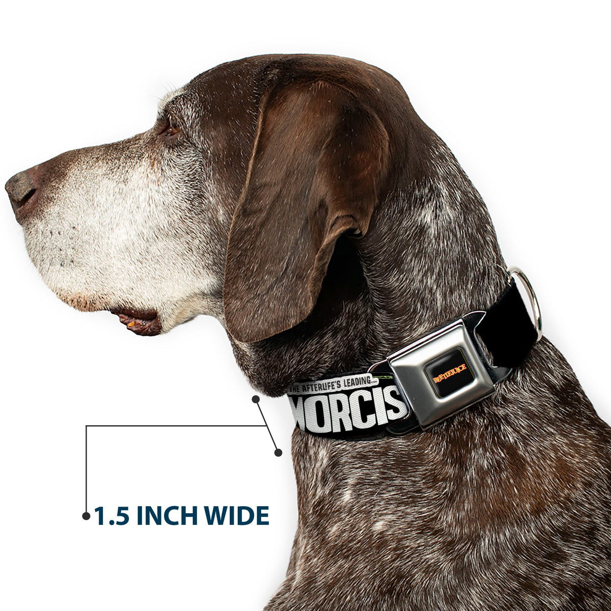 BEETLEJUICE Title Logo Full Color Black/Yellow Seatbelt Buckle Collar - BEETLEJUICE Cartoon Quotes and Scene Black/Multi Color Dog Collars Seatbelt Buckle Beetlejuice